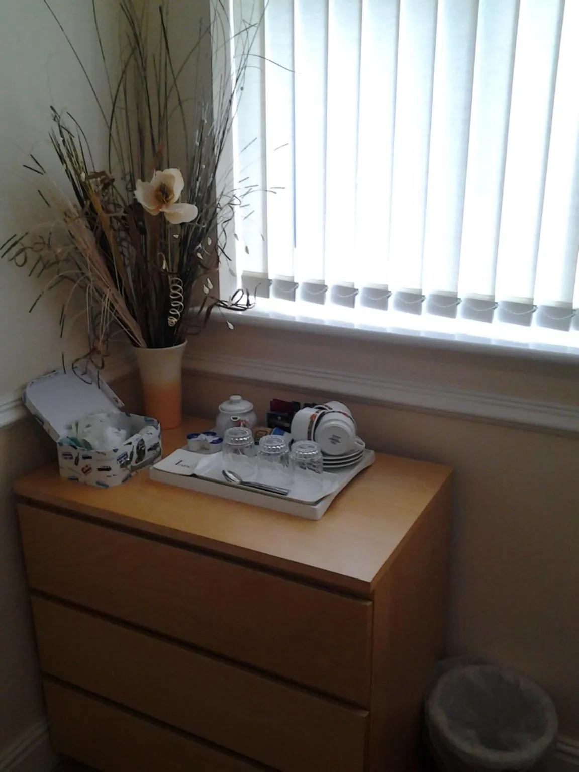 Coffee/tea facilities in Surrey House Hotel