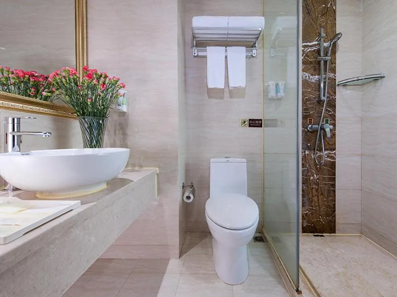 Vienna Hotel Shenzhen Pingdi