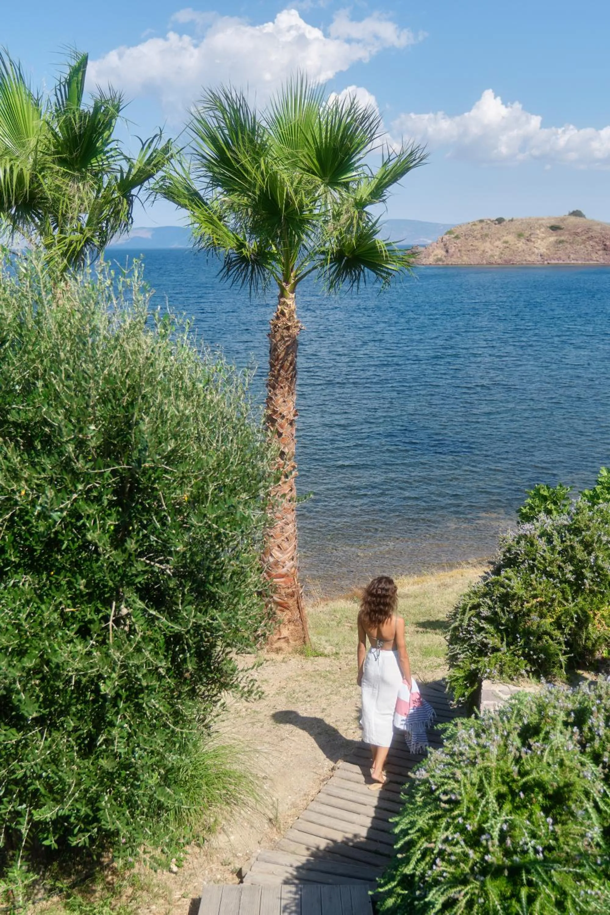 Garden in Little Bird Lesvos