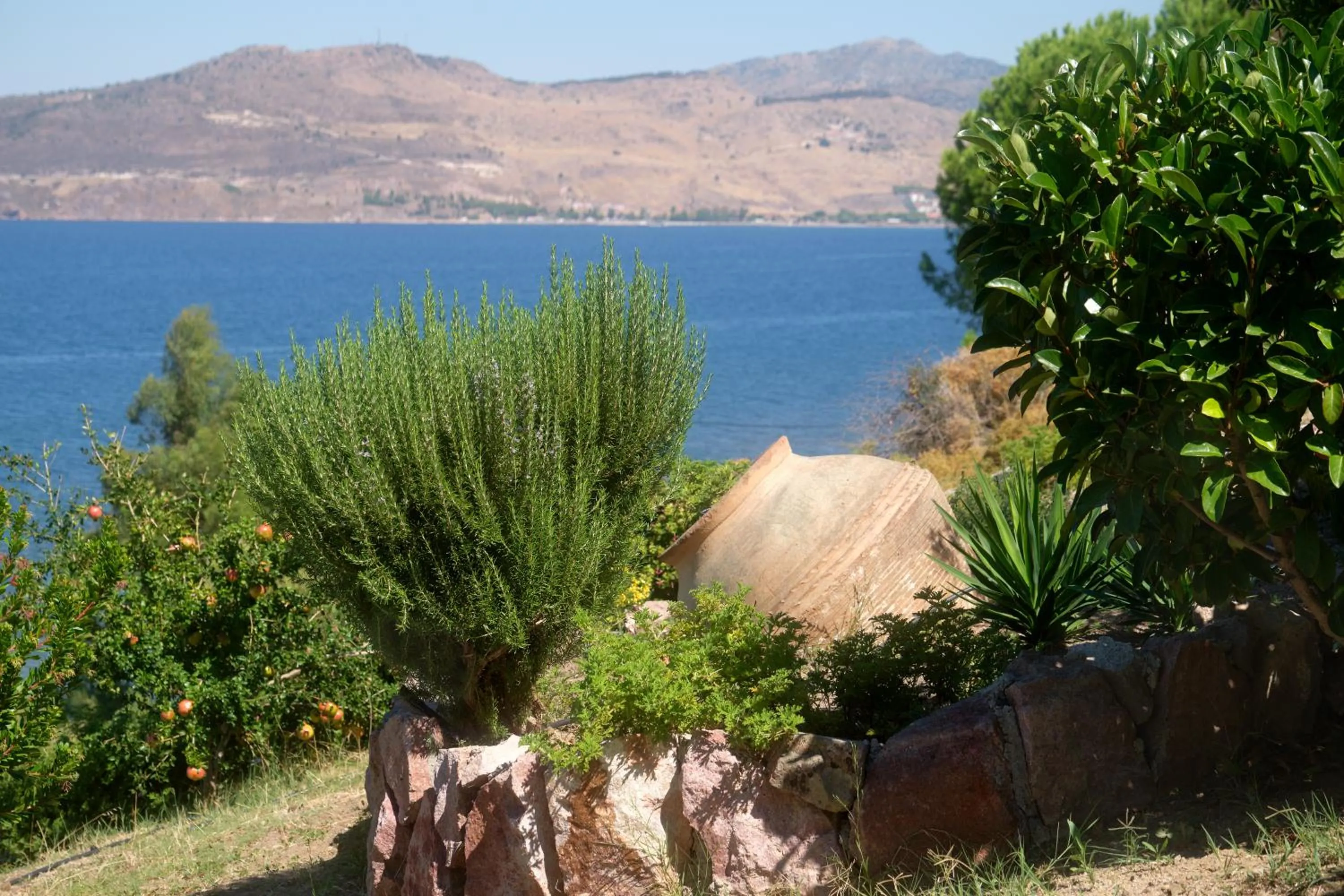 Mountain view in Little Bird Lesvos