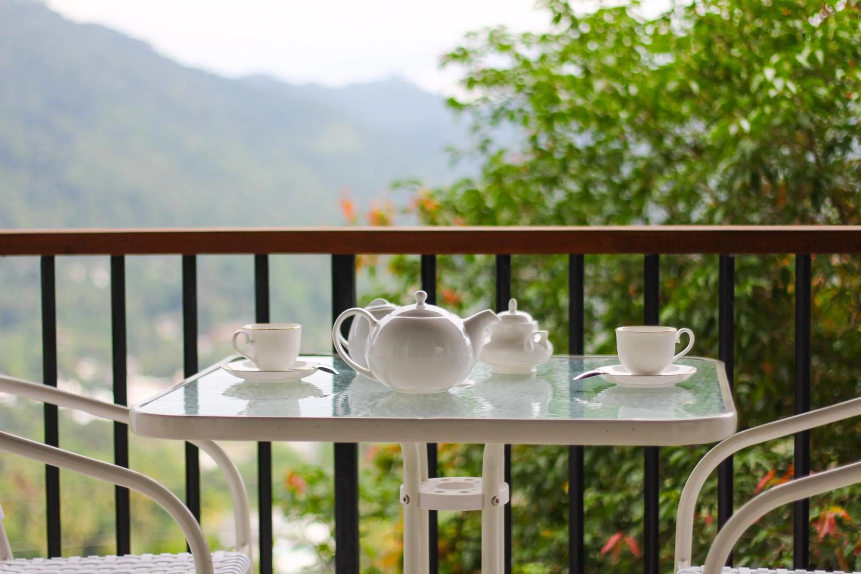 Balcony/Terrace in Jack Tree Lodge