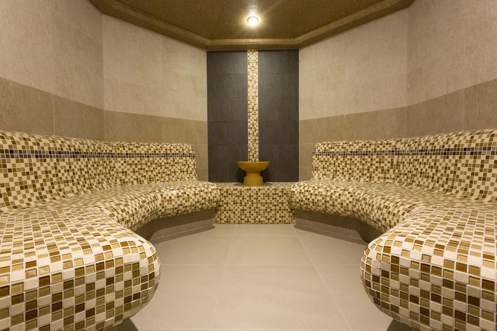 Steam room in Ruskovets Thermal SPA & Ski Resort