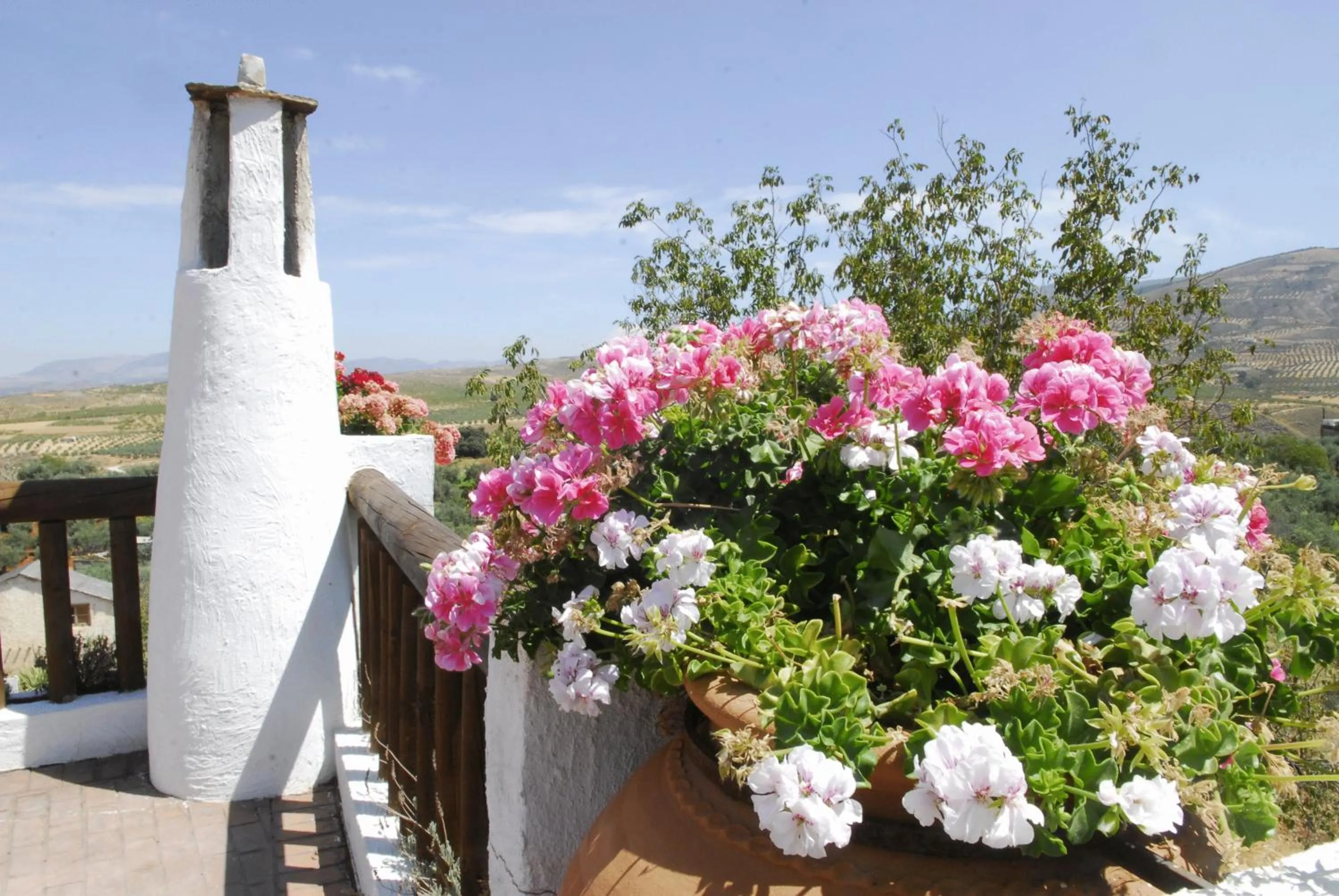 Garden view in Hotel Zerbinetta