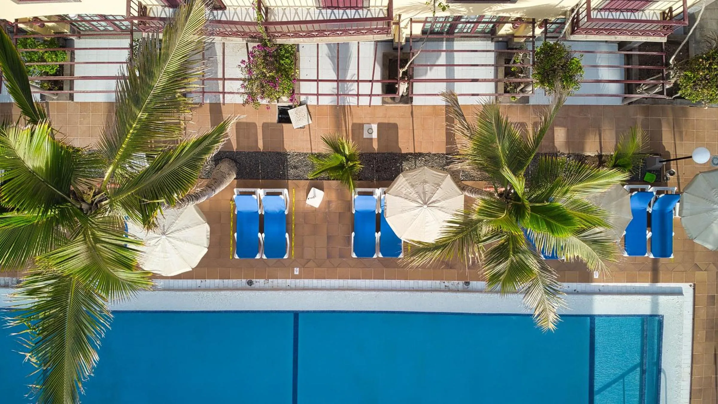 Pool view in Bungalows Maspalomas Oasis Club - All Inclusive.