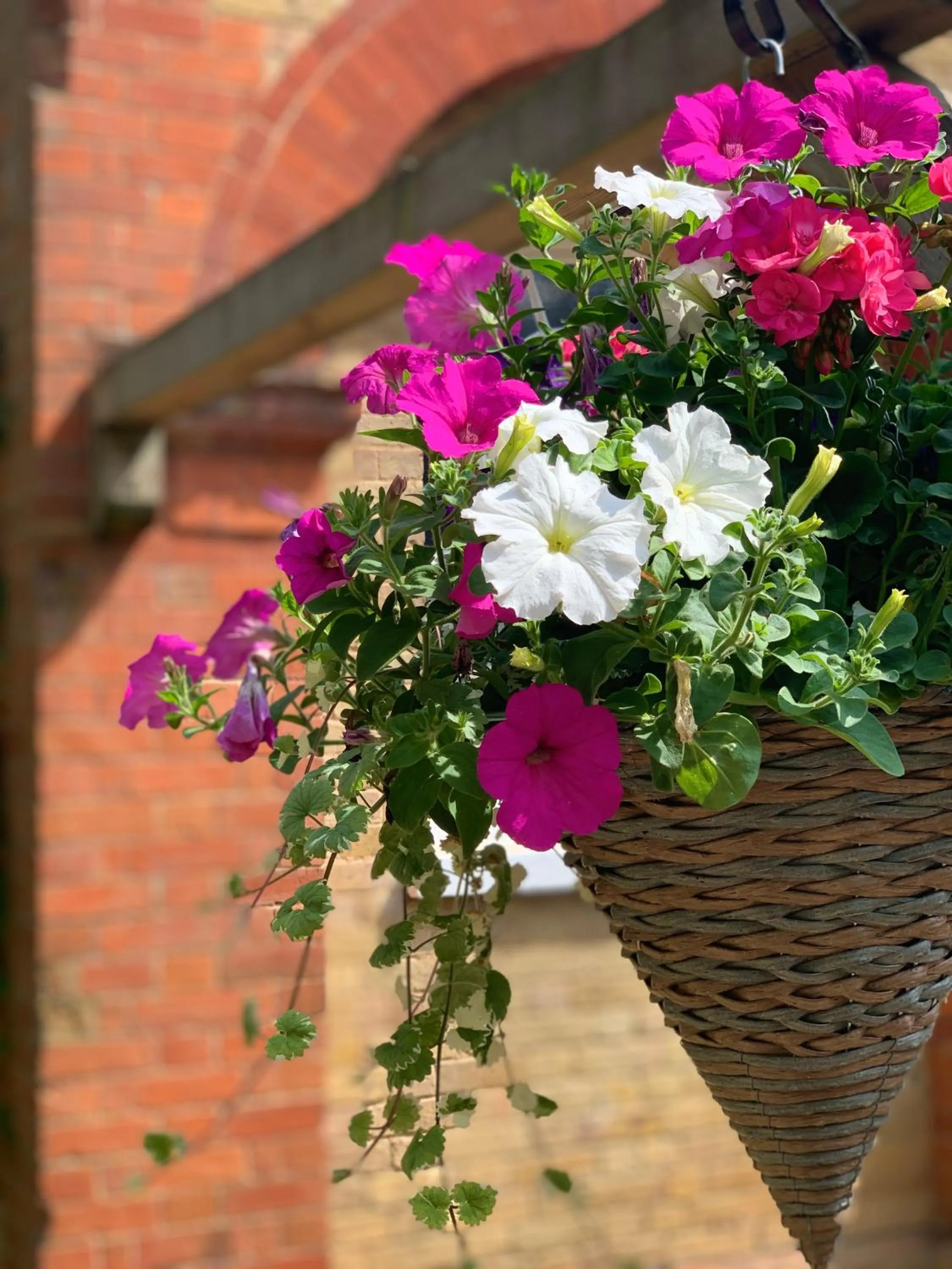 Property building in Badgemore Park