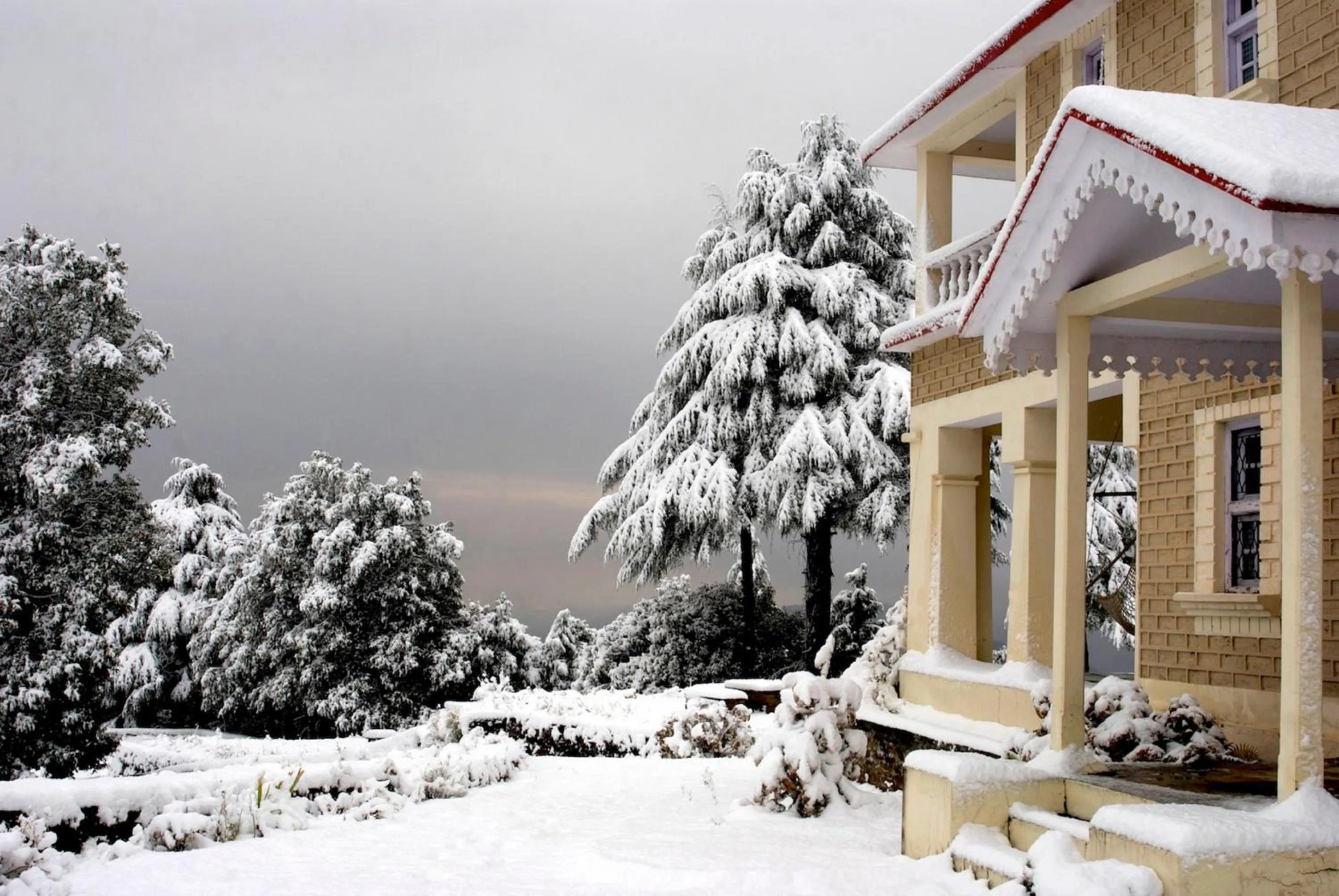 Property building in Tree of Life Grand Oak Manor Binsar