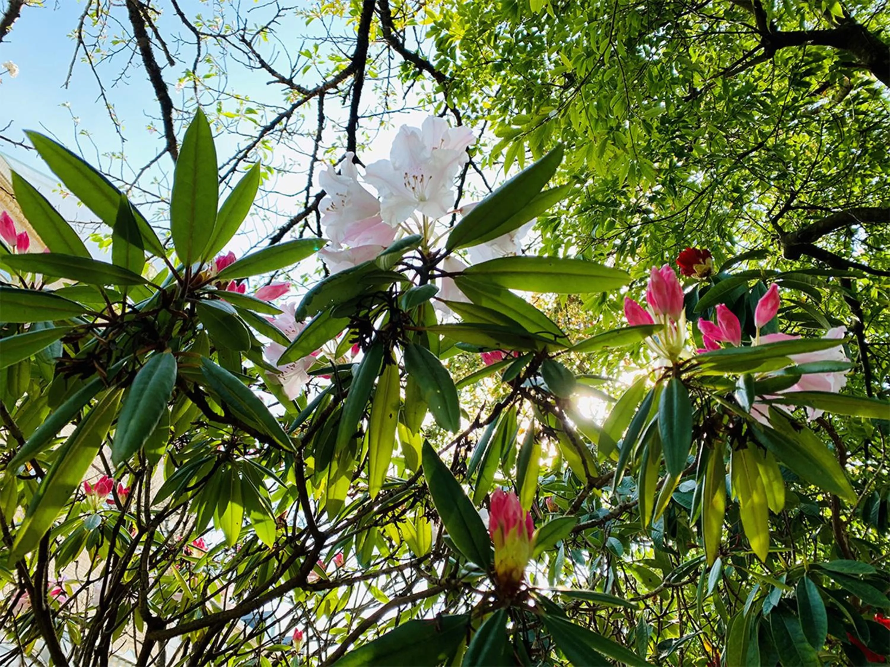 Garden view in Yugashima Golf Club & Hotel Resort