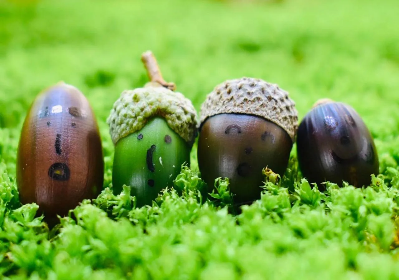 Day in 筋肉と自然と遊ぶ宿 田島館