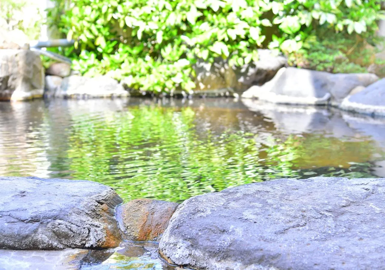 Hot Spring Bath in 筋肉と自然と遊ぶ宿 田島館