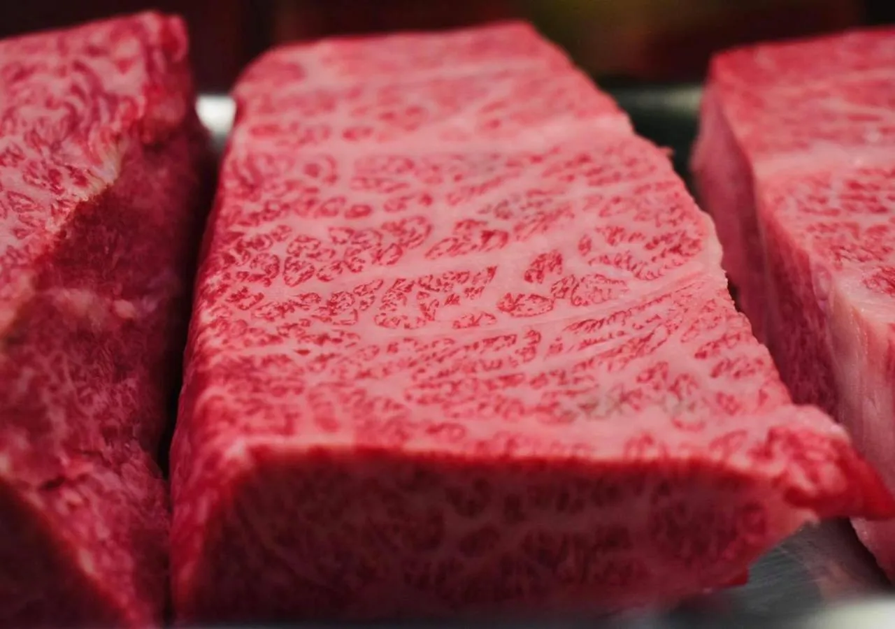 Food in 筋肉と自然と遊ぶ宿 田島館