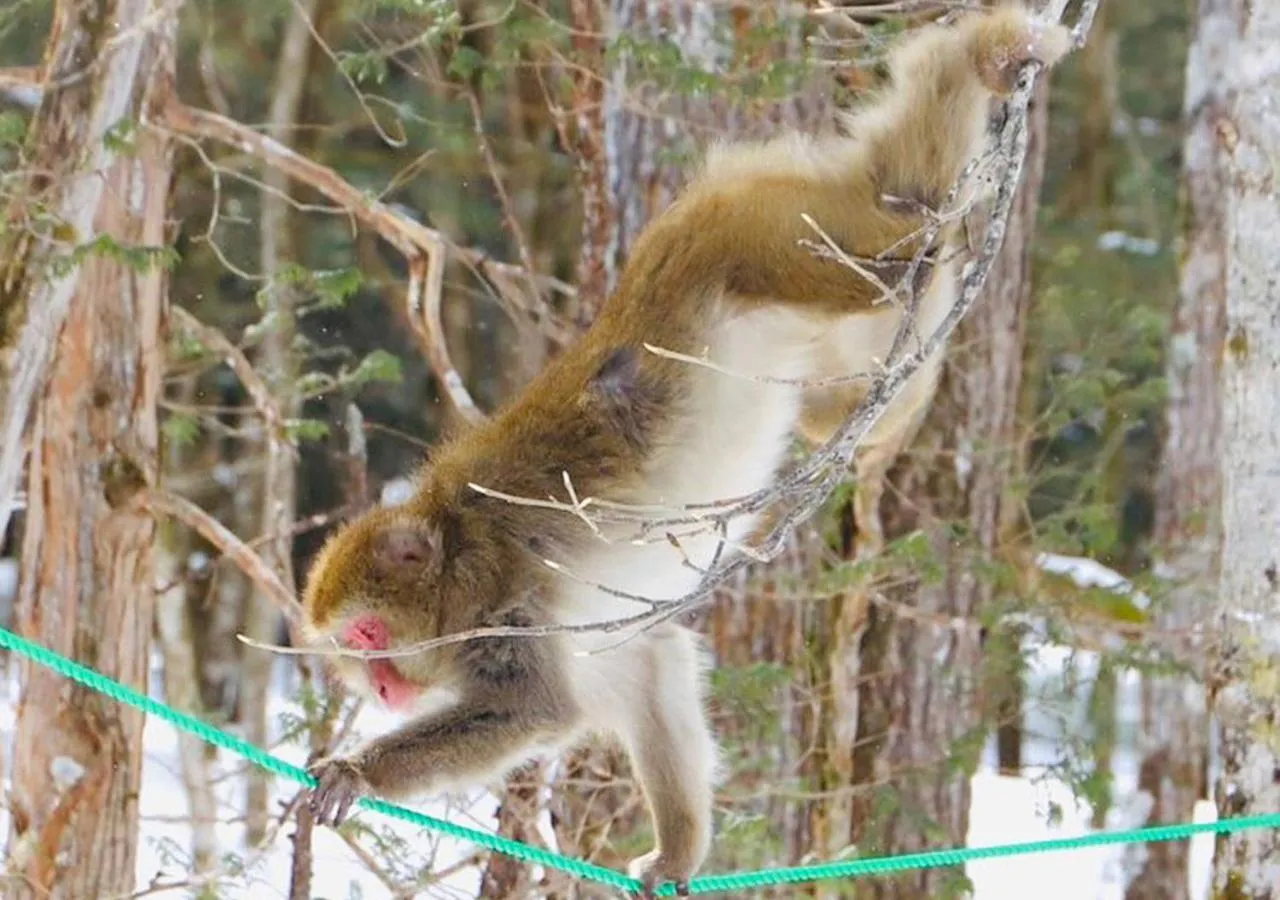 Nearby landmark in 筋肉と自然と遊ぶ宿 田島館