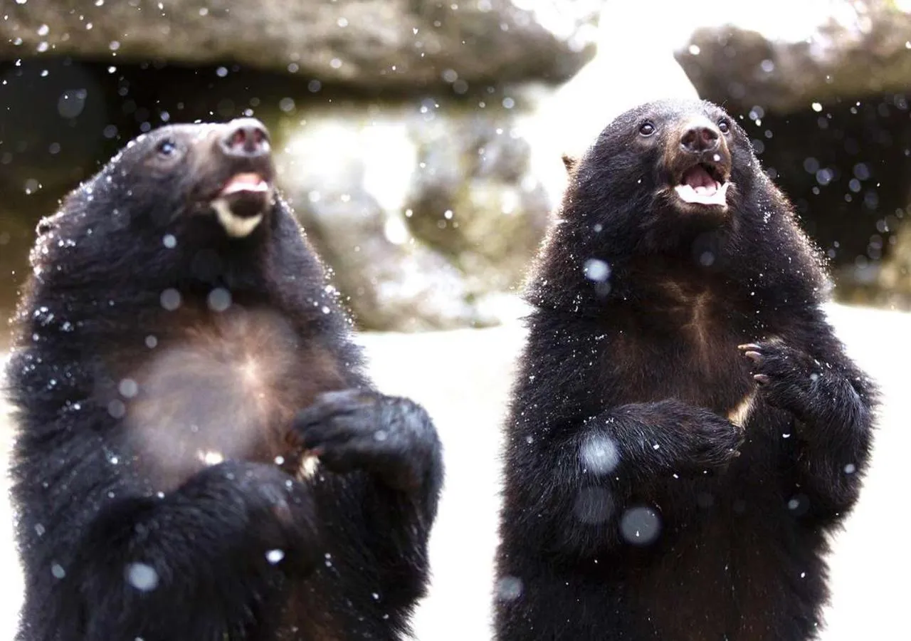 Nearby landmark in 筋肉と自然と遊ぶ宿 田島館