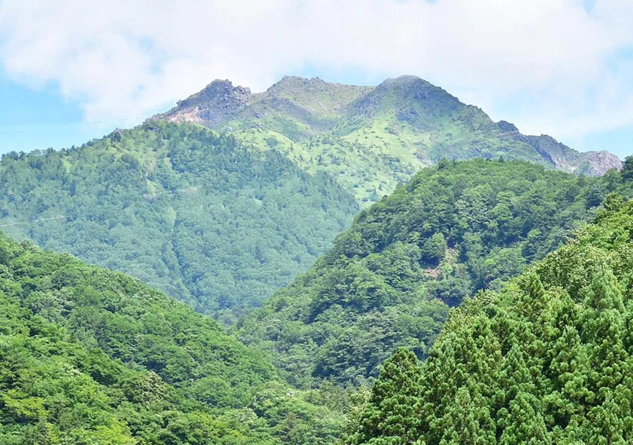 Spring in 筋肉と自然と遊ぶ宿 田島館