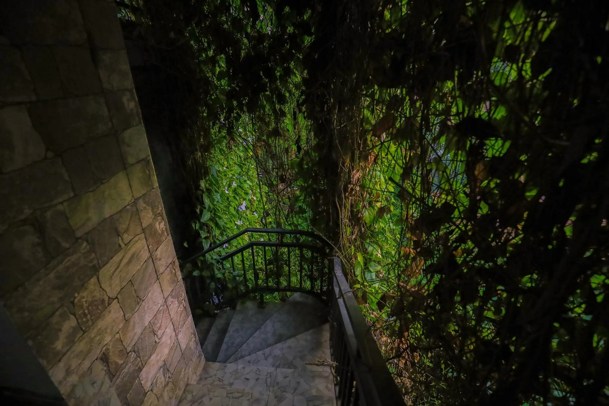 Natural landscape in Tinara River Inn, Weligama