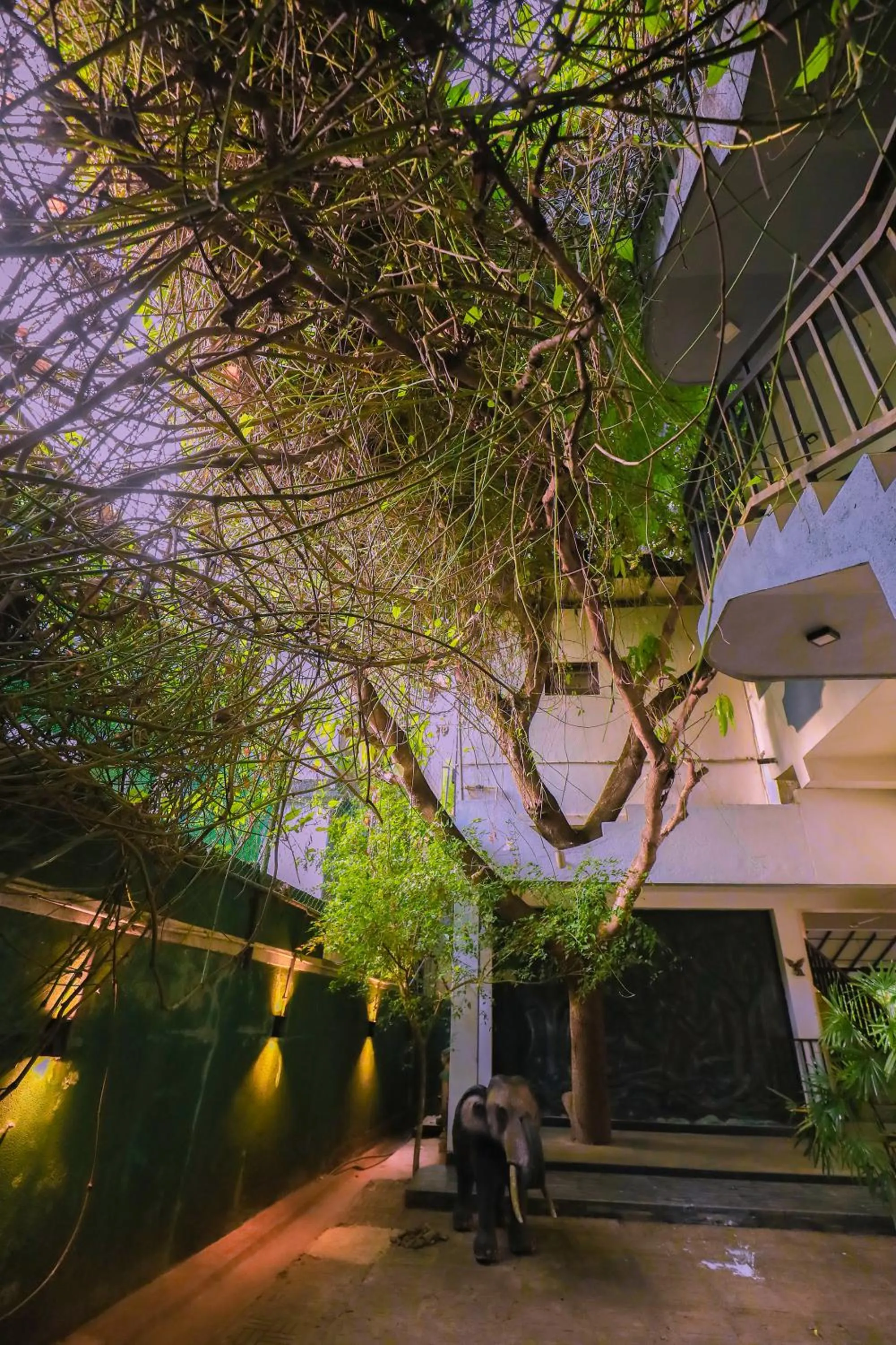 Garden view in Tinara River Inn, Weligama