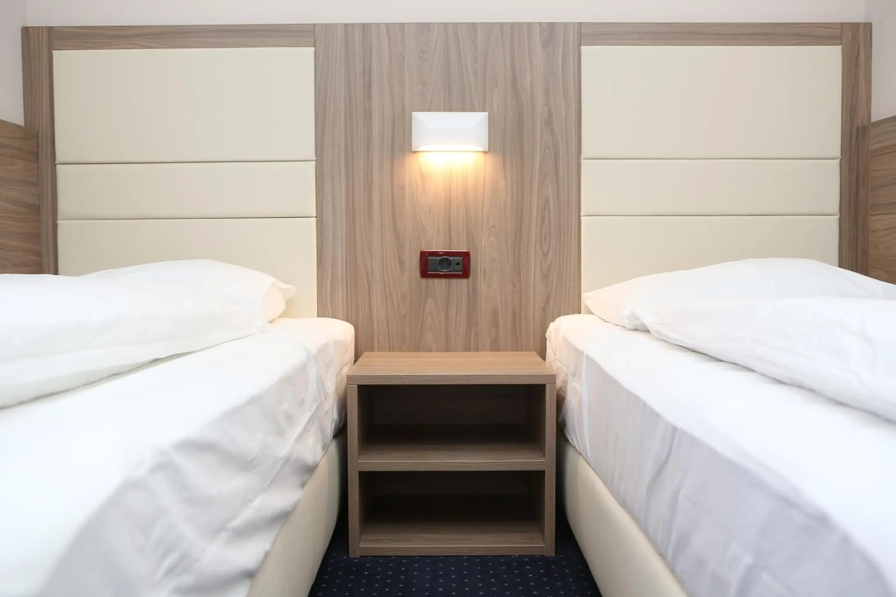 Twin Room - single occupancy in Hotel Ana Twin Room - single occupancy in Hotel Ana