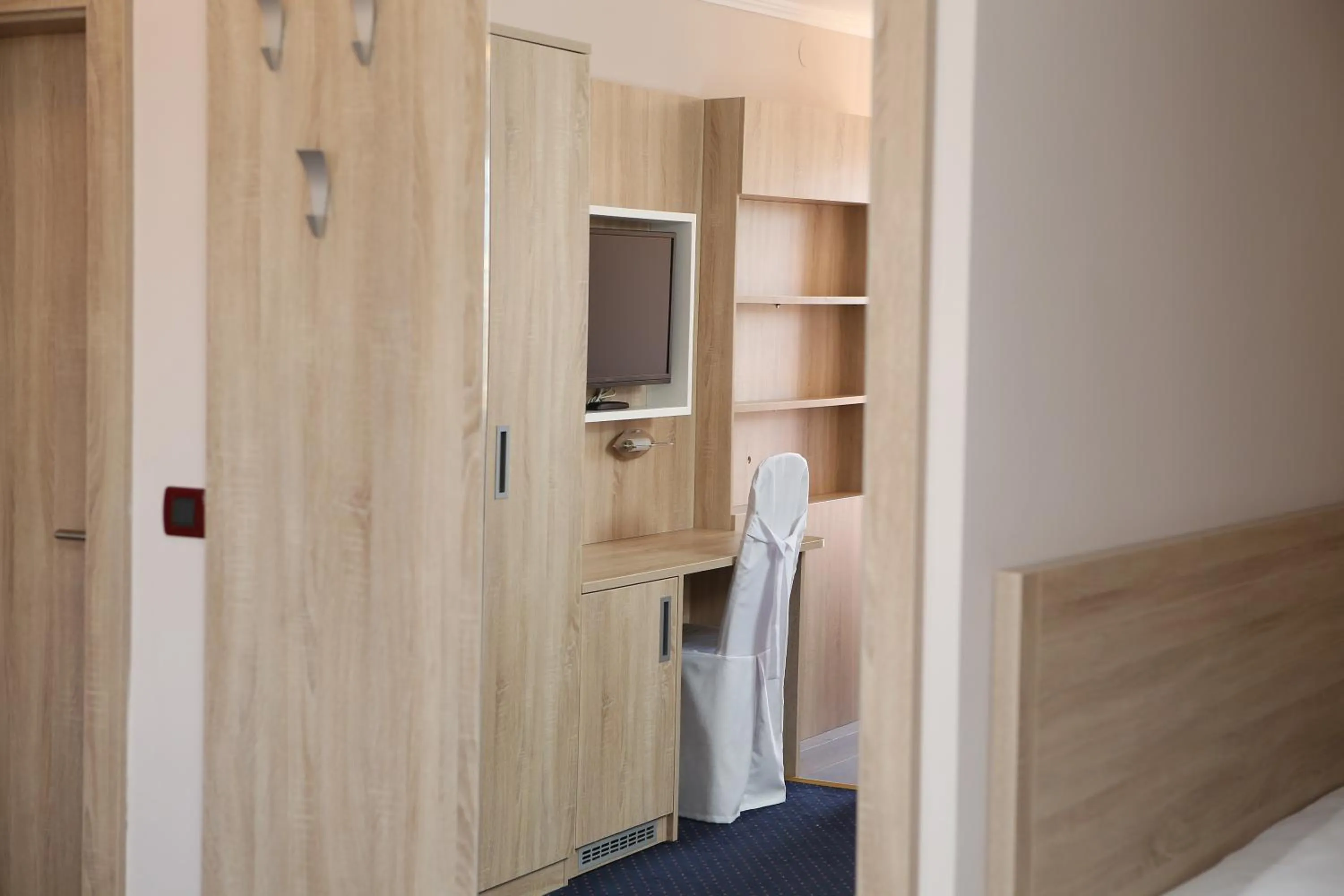 TV and multimedia in Hotel Ana