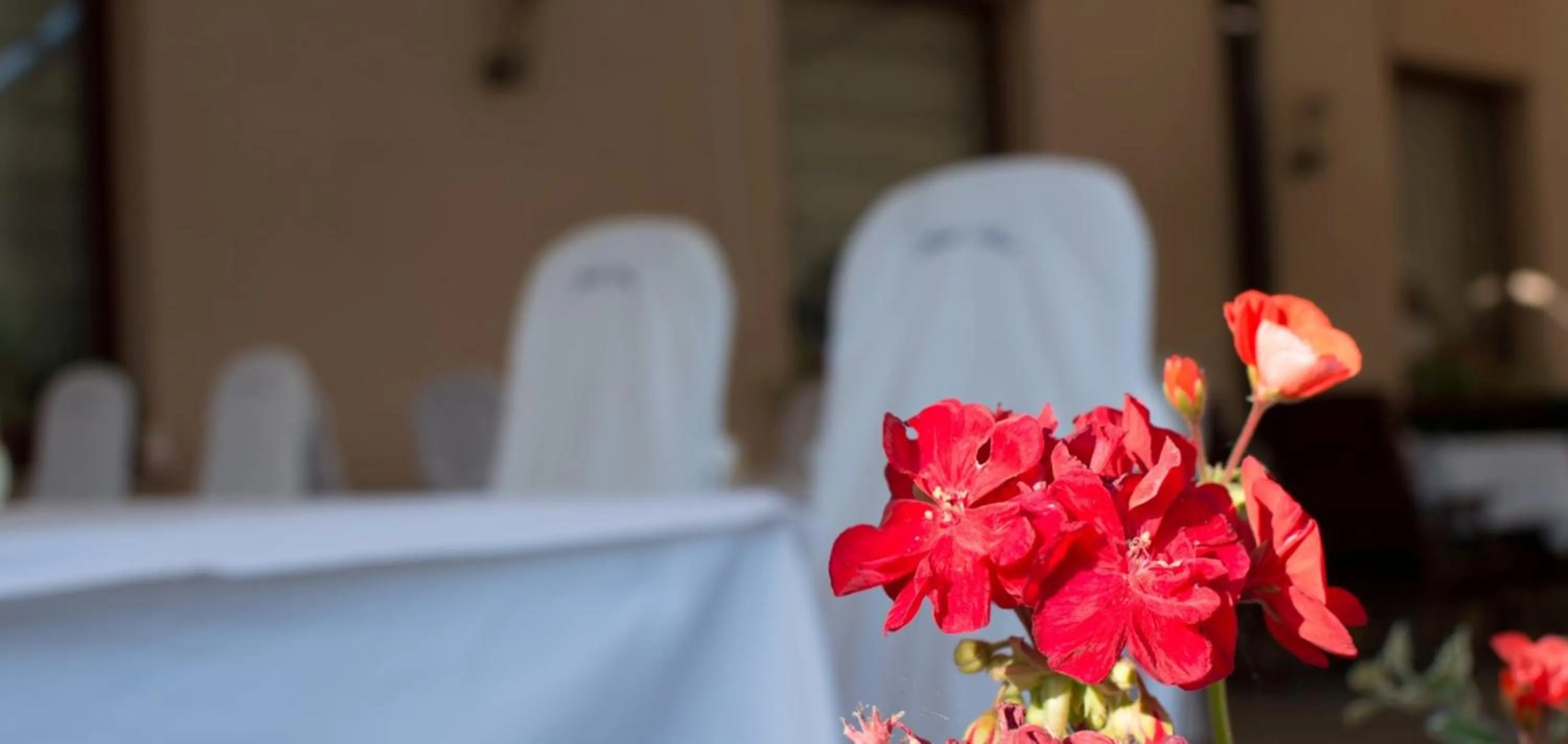 Balcony/Terrace in Hotel Ana