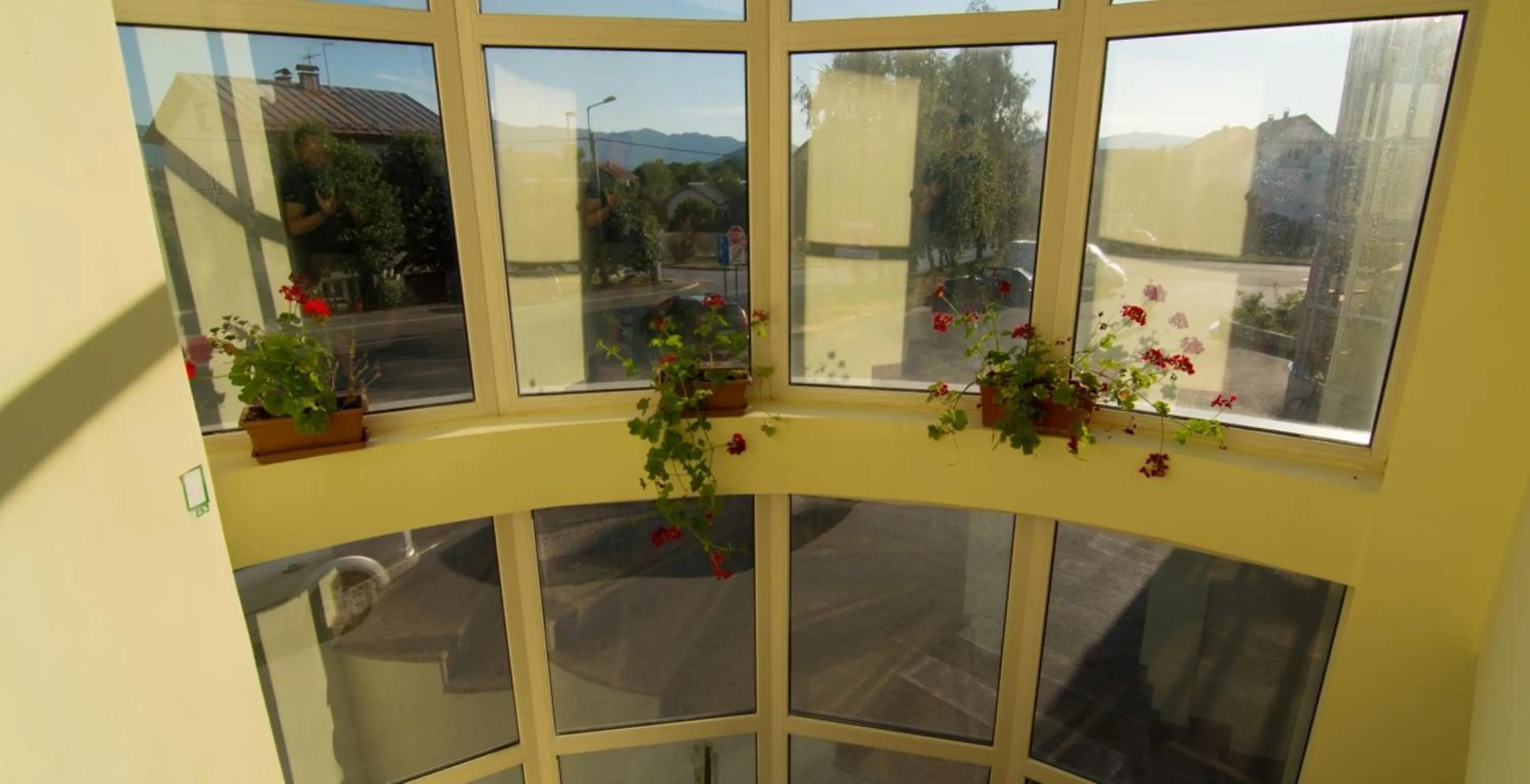 Decorative detail in Hotel Ana