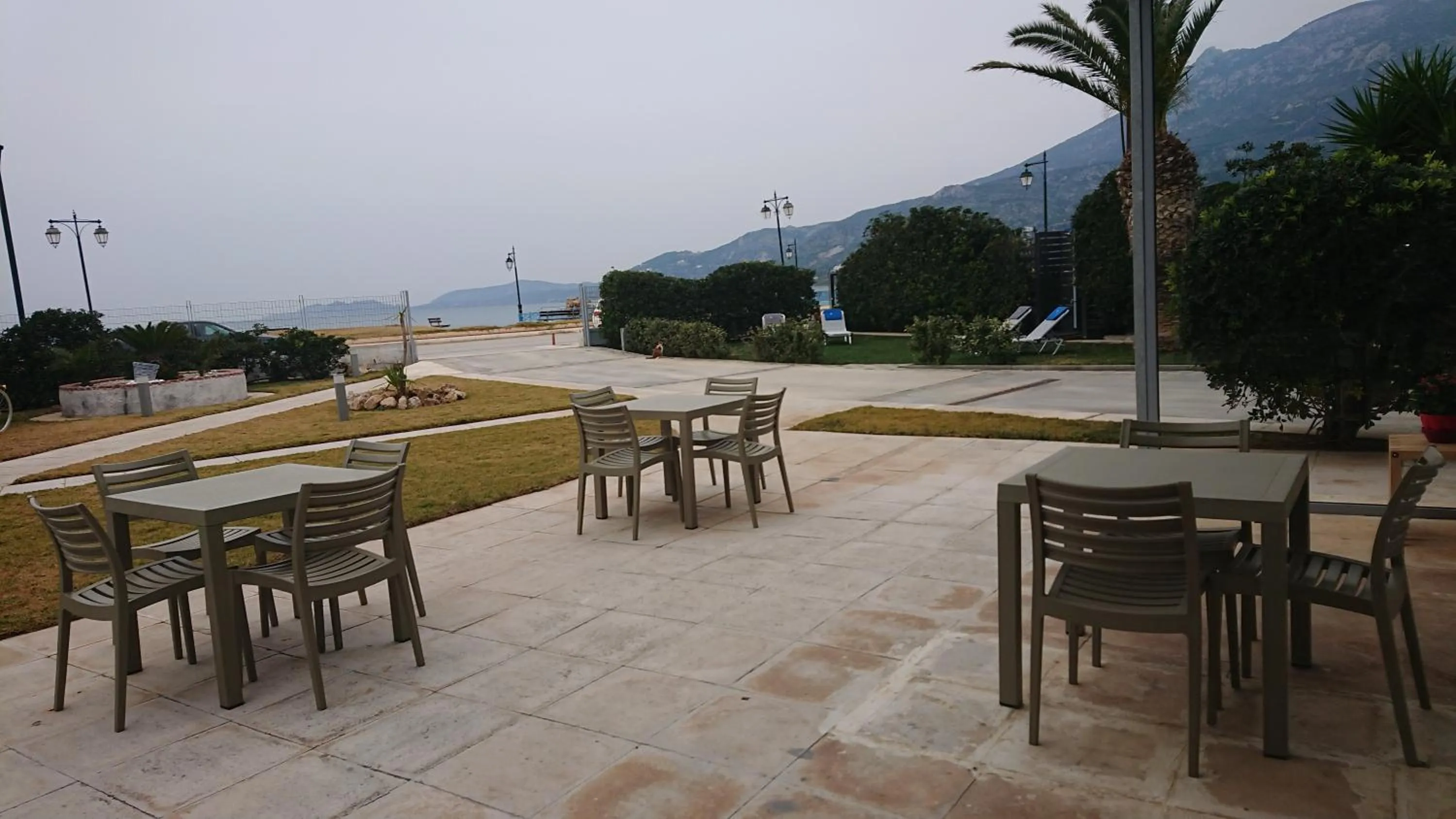 Garden in Diolkos Studios