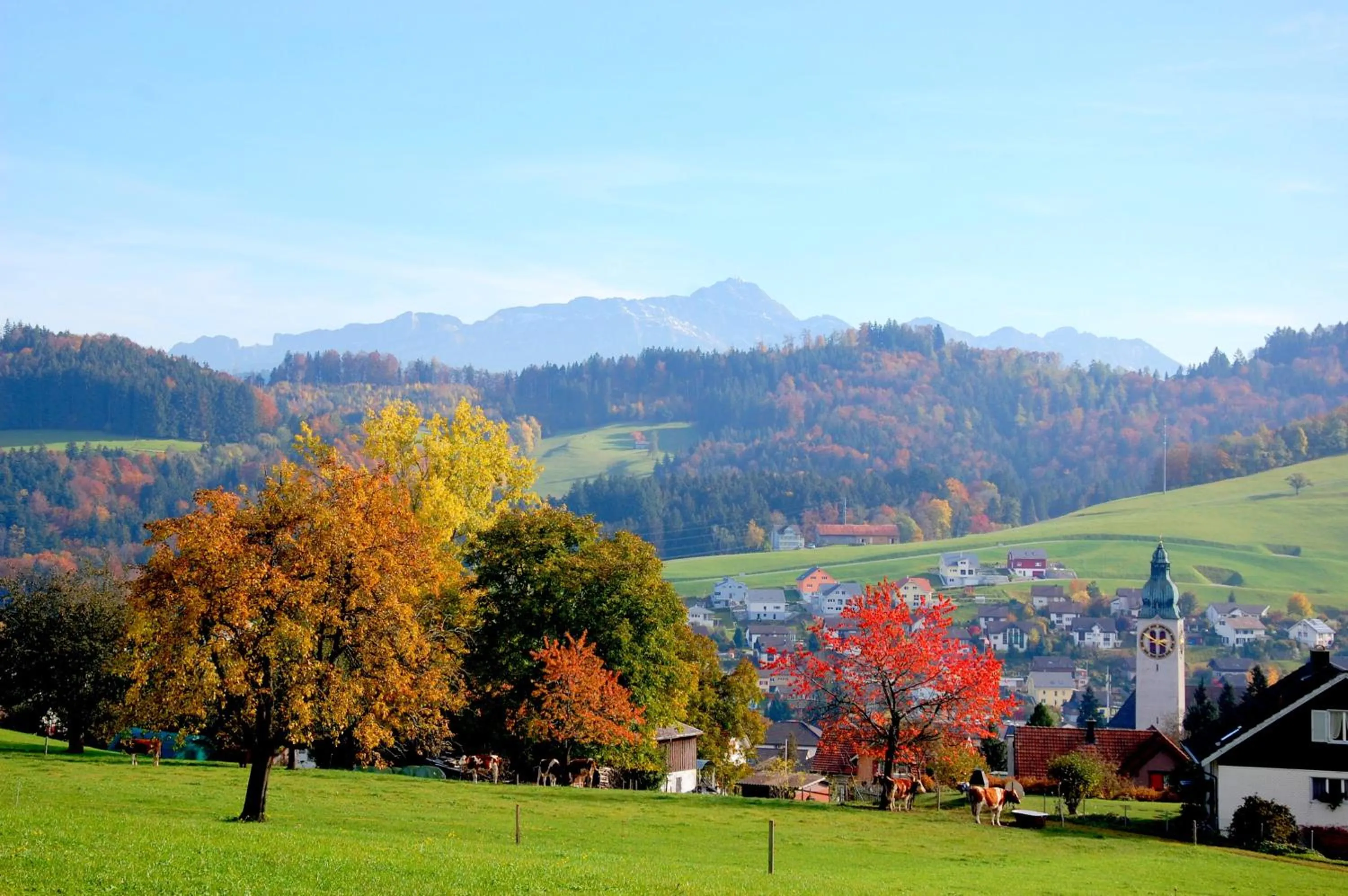 Mountain view in Hotel und Restaurant Wolfensberg