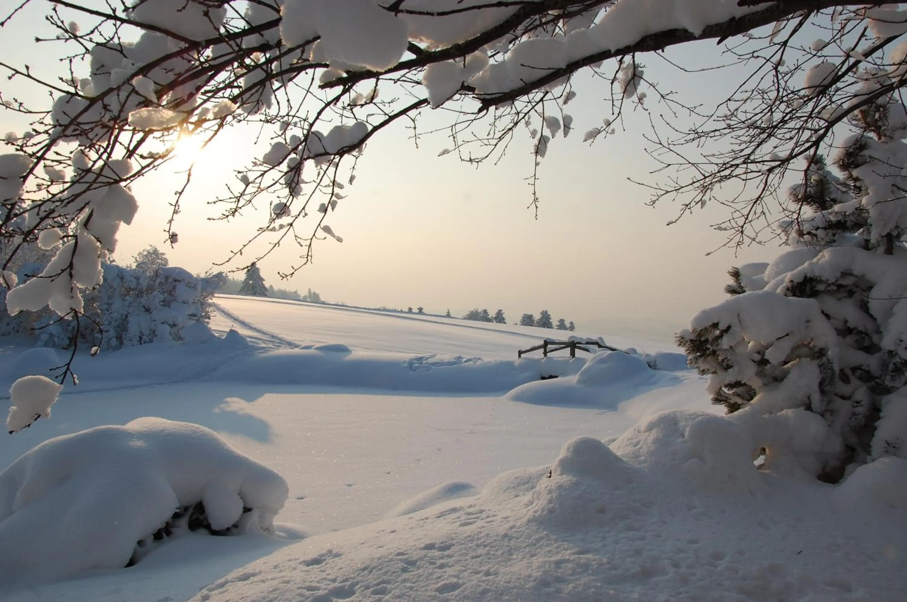 Natural landscape in Hotel und Restaurant Wolfensberg