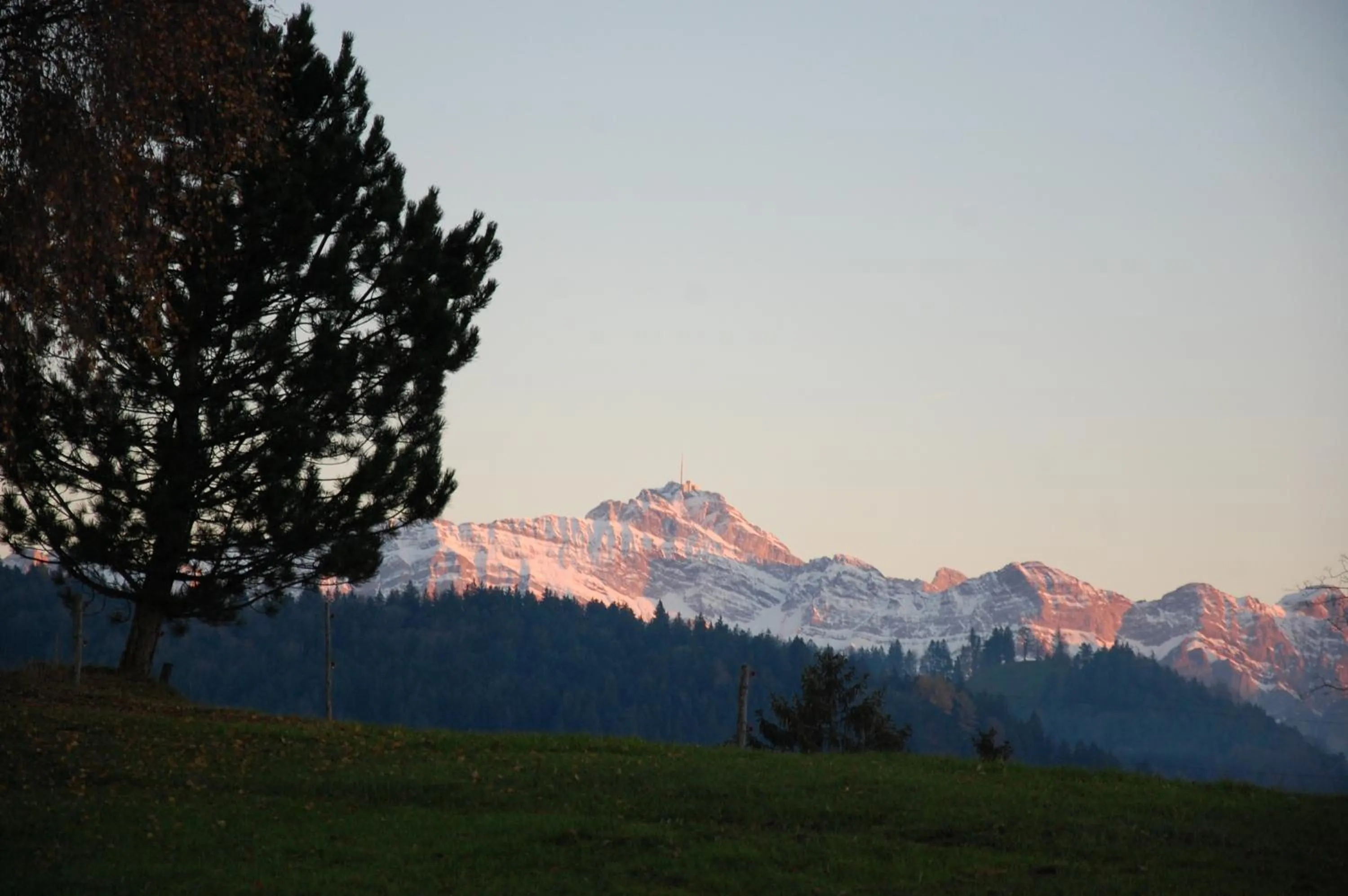 Mountain view in Hotel und Restaurant Wolfensberg
