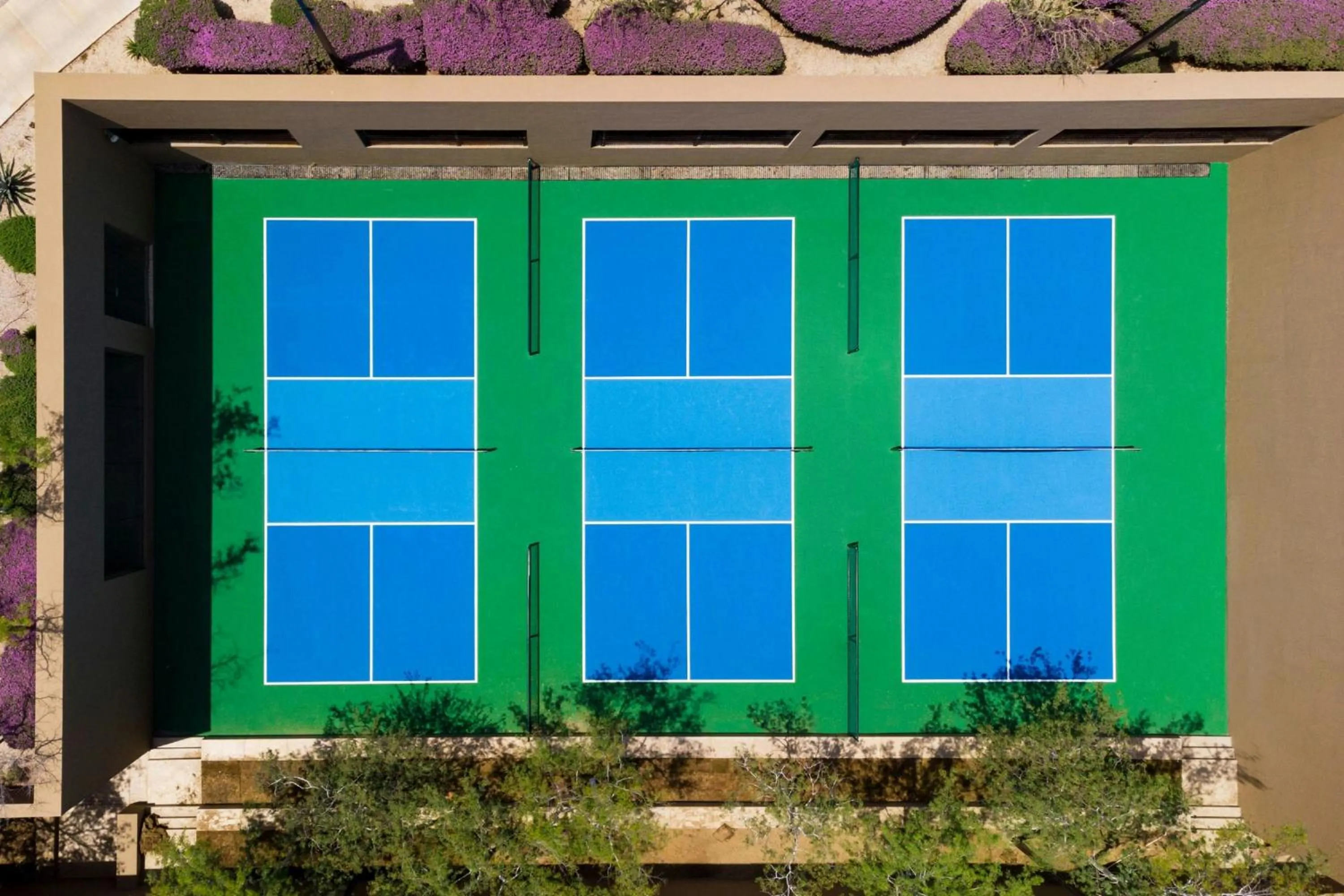 Area and facilities in JW Marriott Los Cabos Beach Resort & Spa