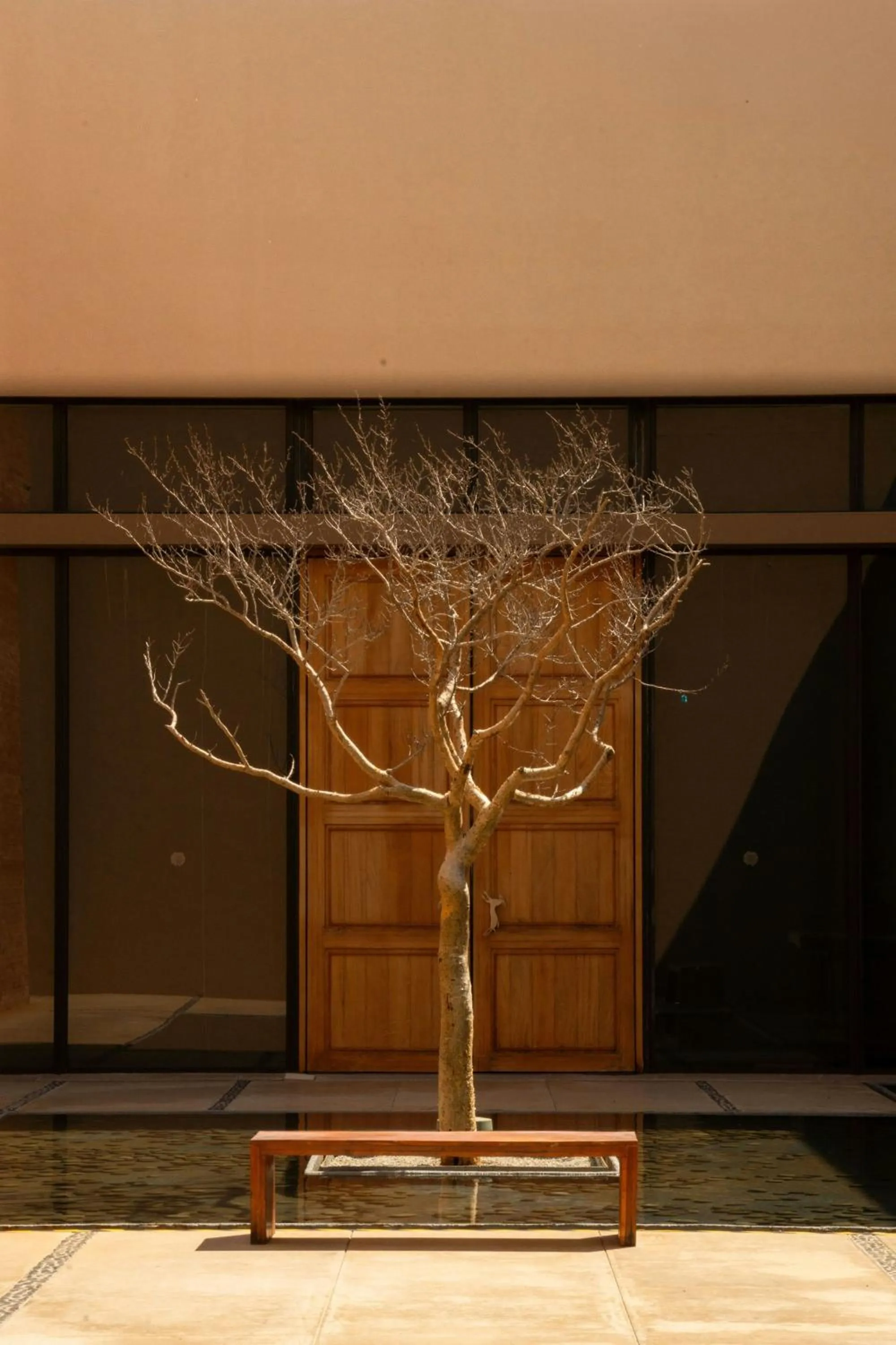 Other in JW Marriott Los Cabos Beach Resort & Spa