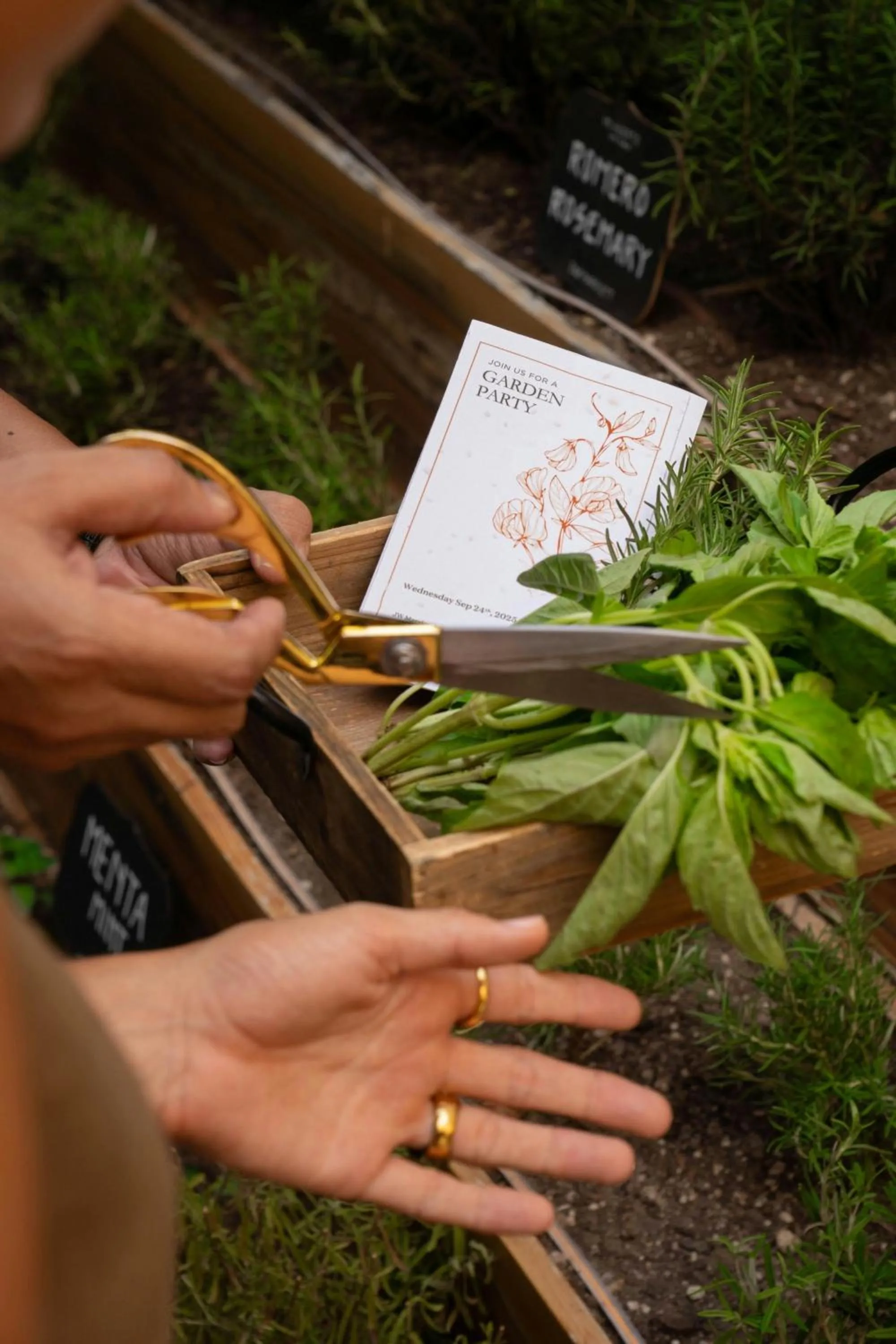 Other in JW Marriott Los Cabos Beach Resort & Spa