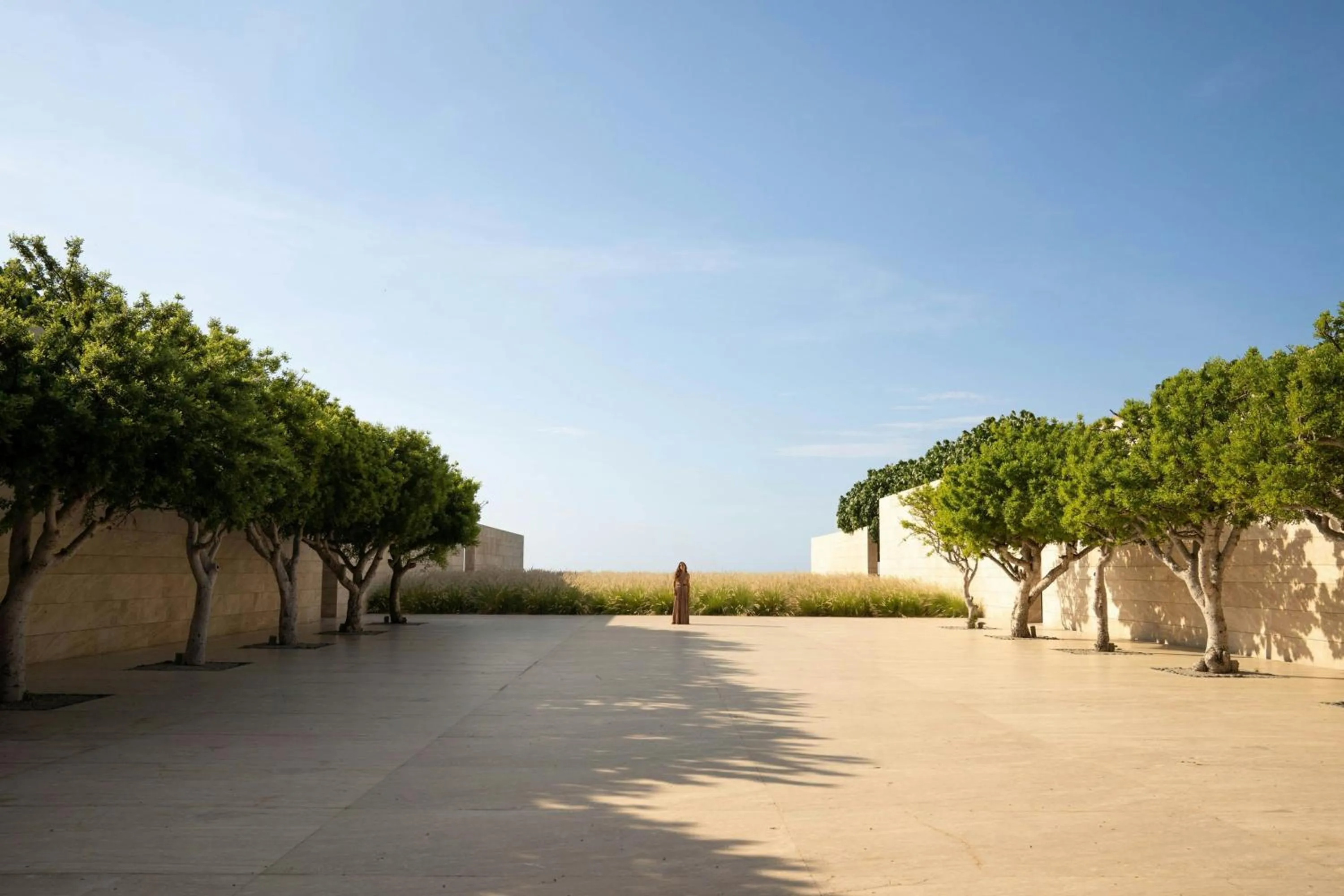 View (from property/room) in JW Marriott Los Cabos Beach Resort & Spa