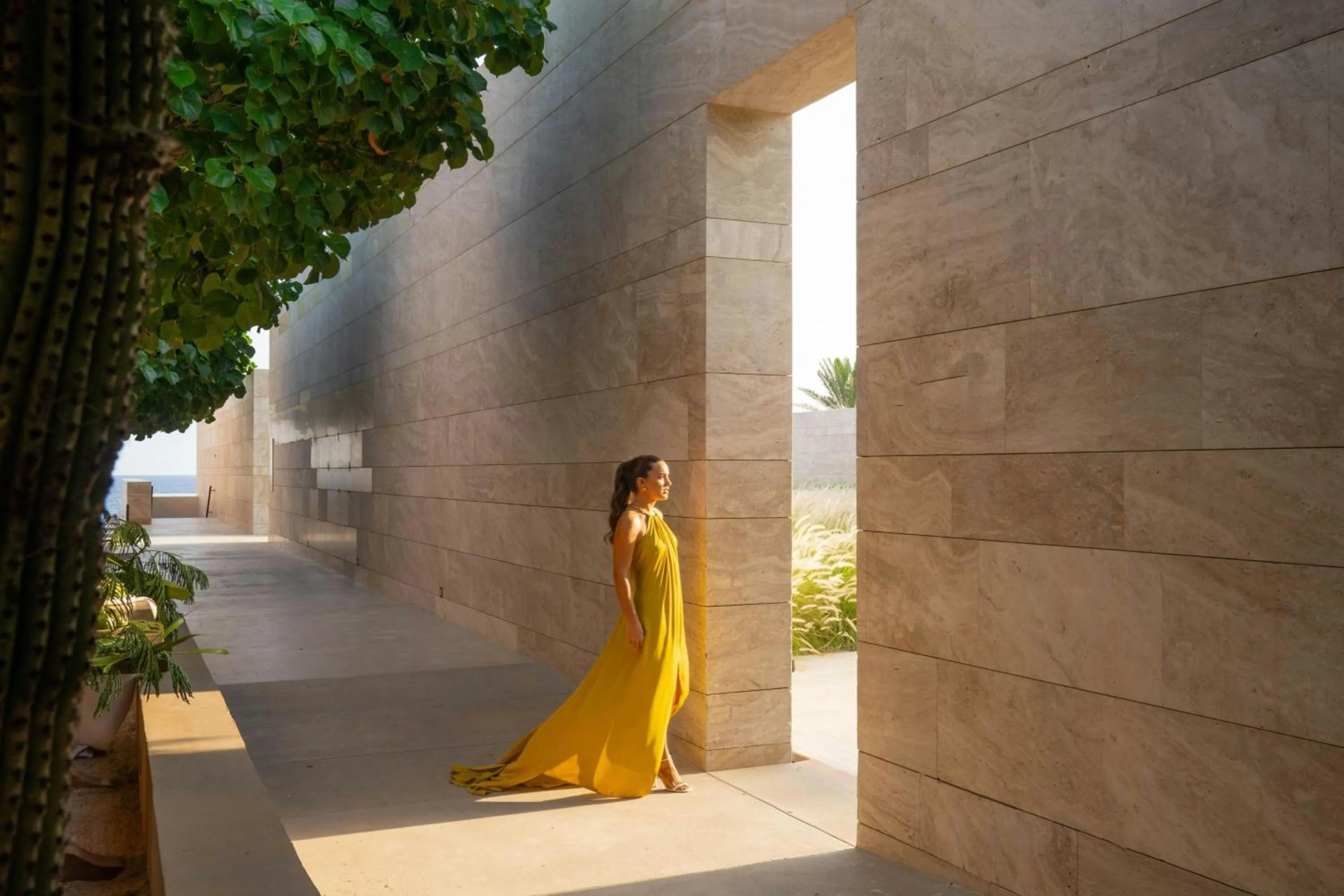 Other in JW Marriott Los Cabos Beach Resort & Spa