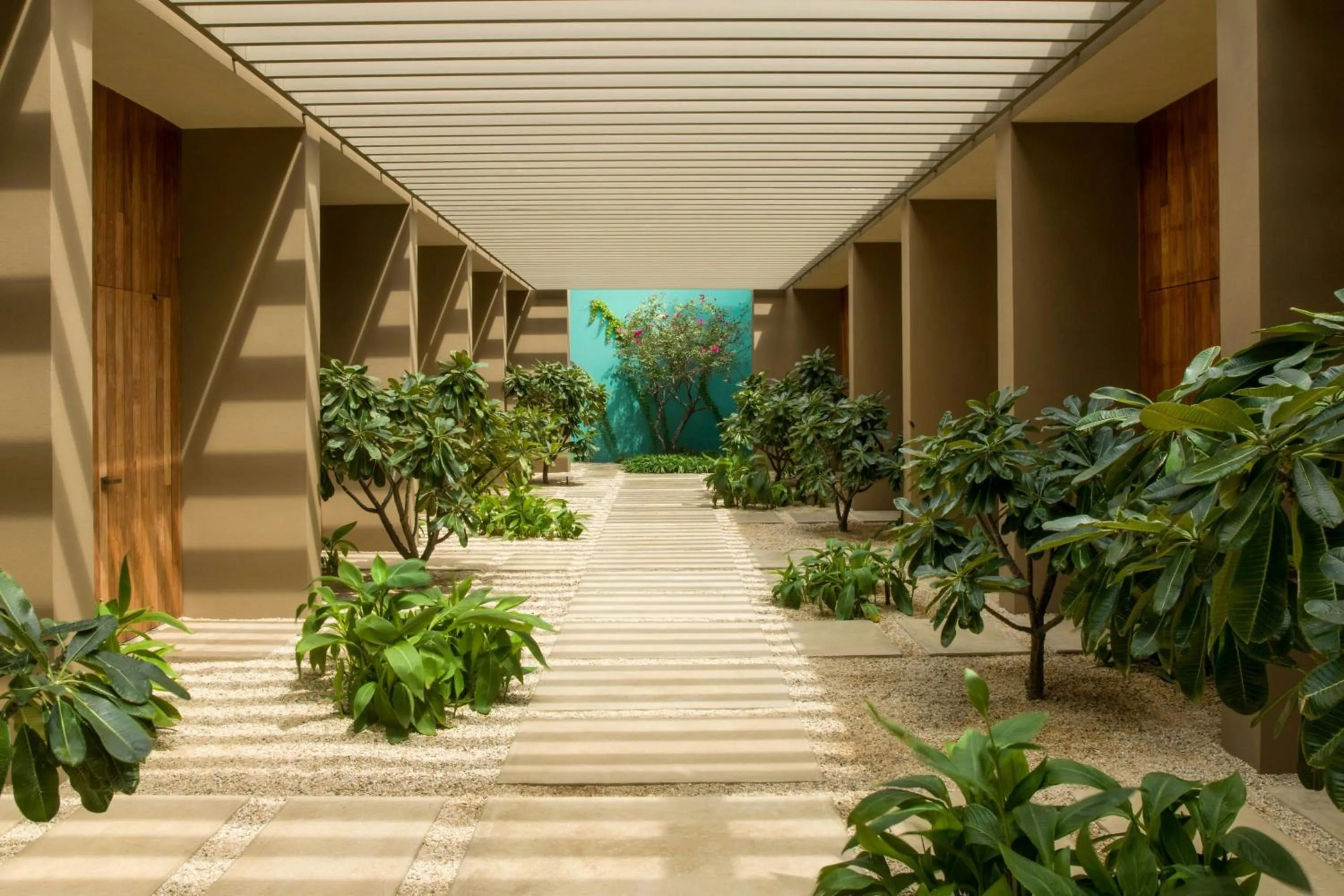 Spa and wellness centre/facilities in JW Marriott Los Cabos Beach Resort & Spa