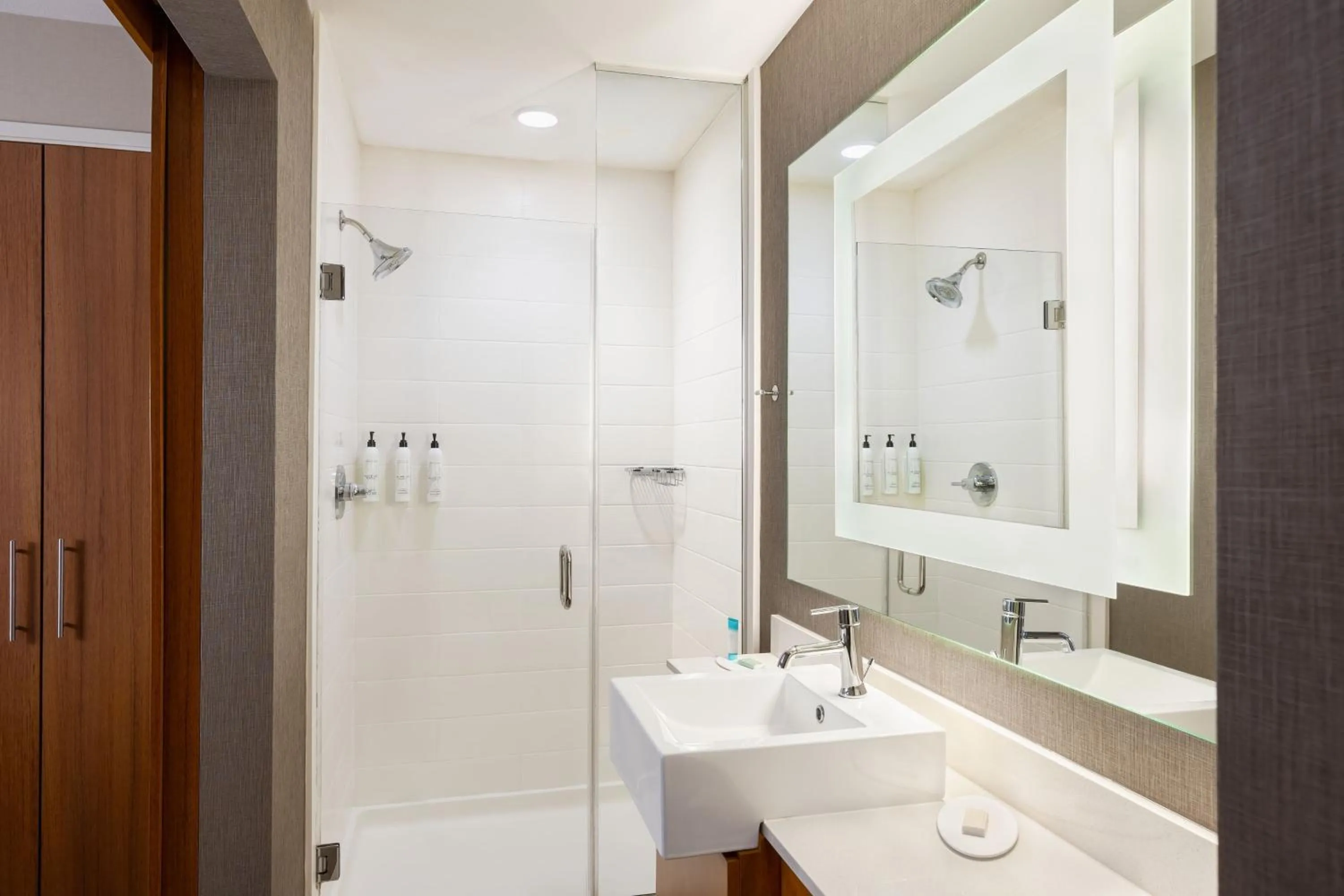 Bathroom in SpringHill Suites by Marriott Wisconsin Dells