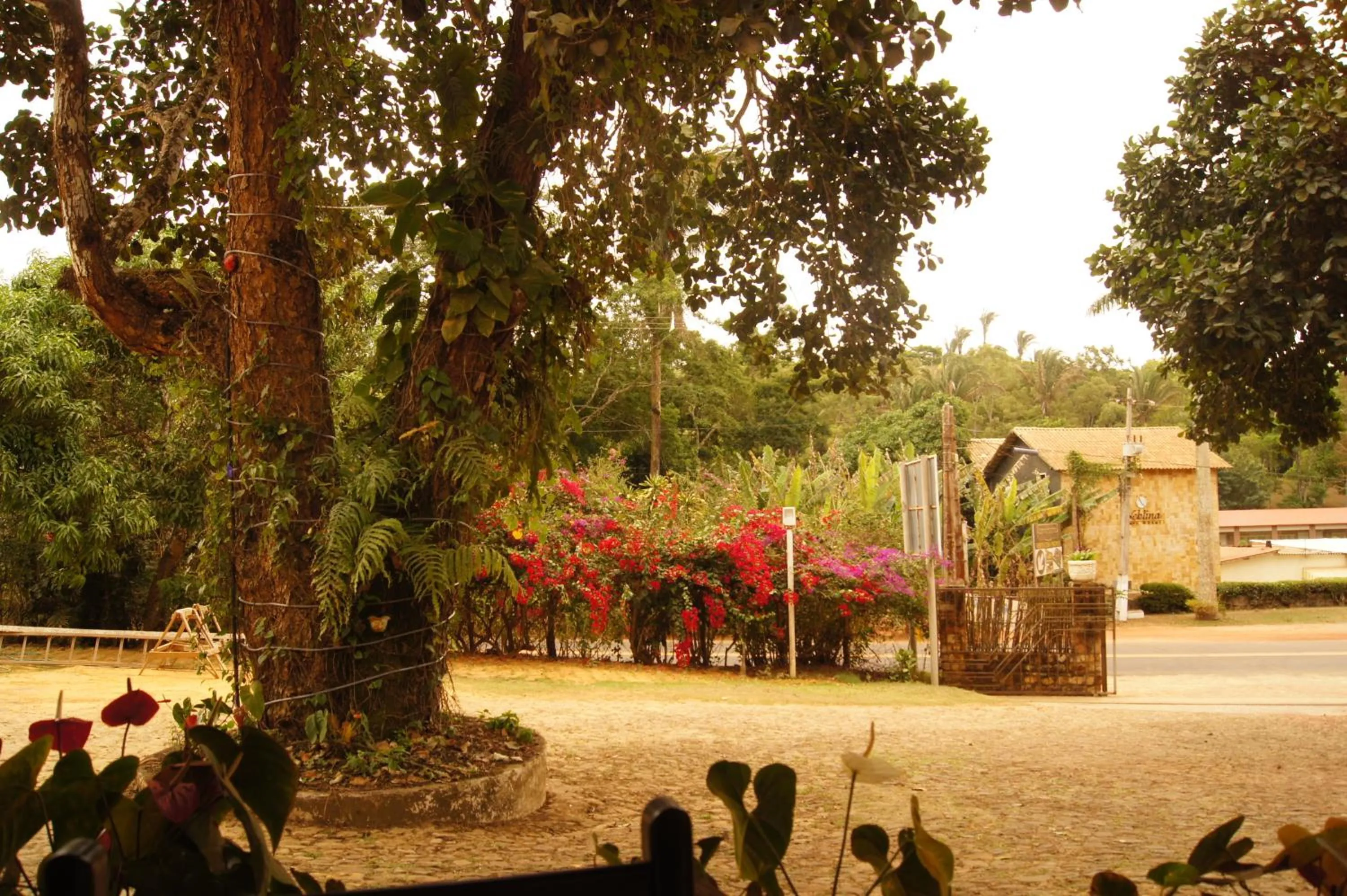 Garden in Pousada Gruta
