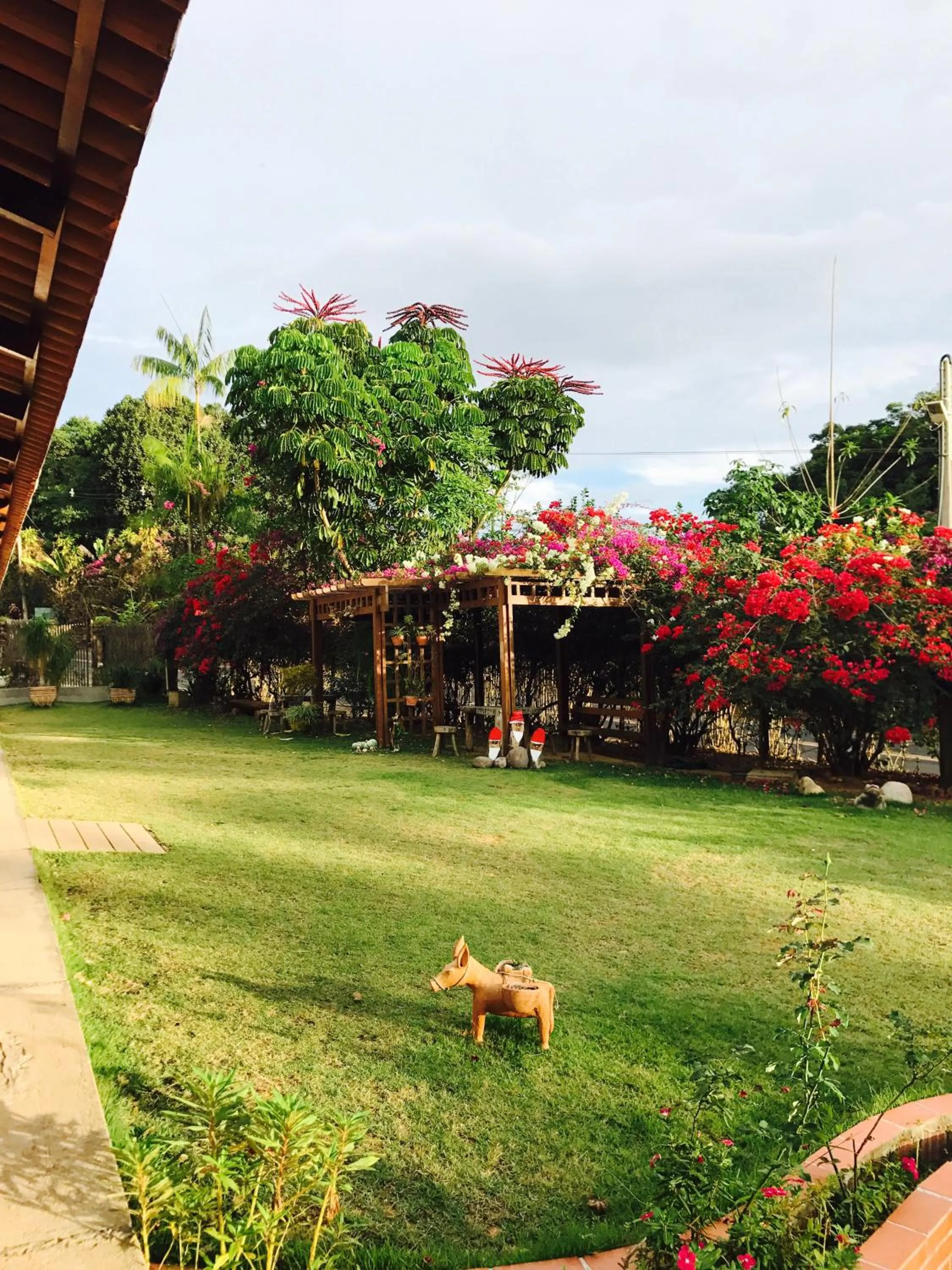 Garden in Pousada Gruta