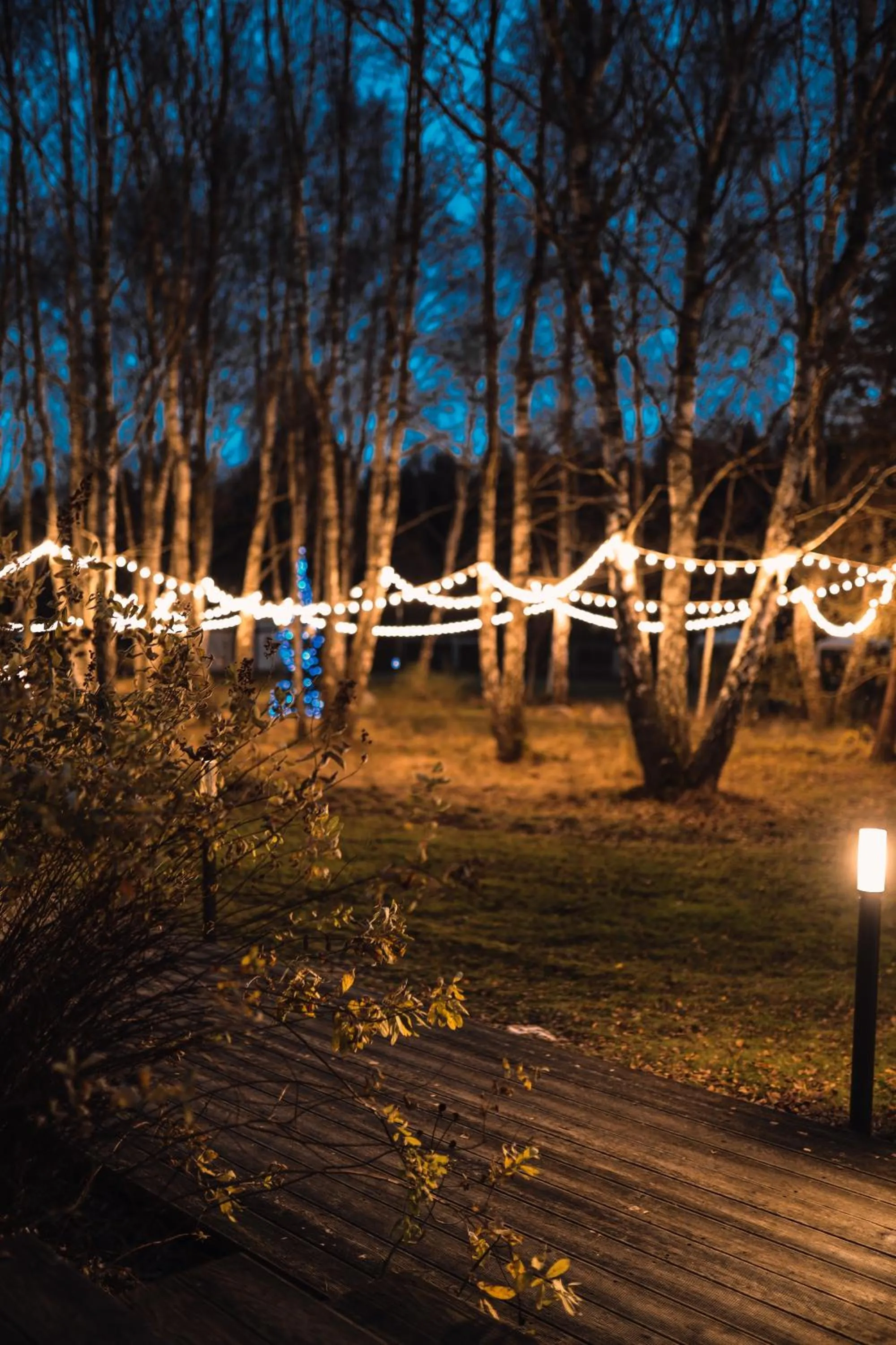 Rosevia Resort & Spa