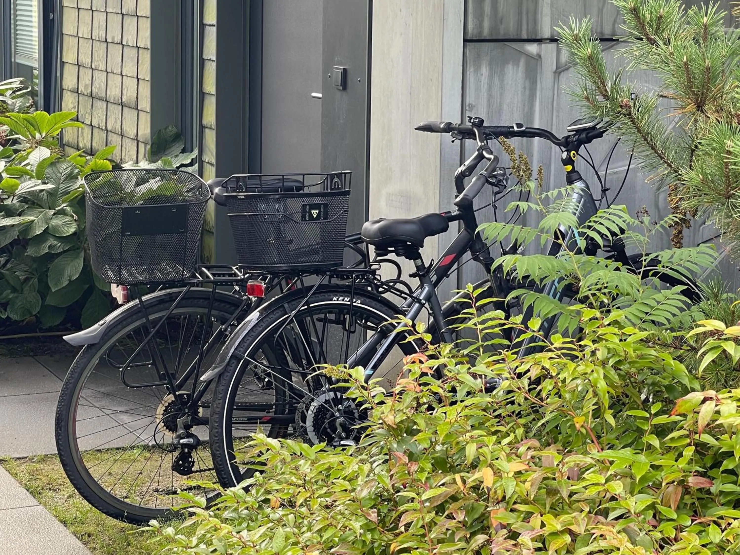 Day in Rosevia Resort & Spa