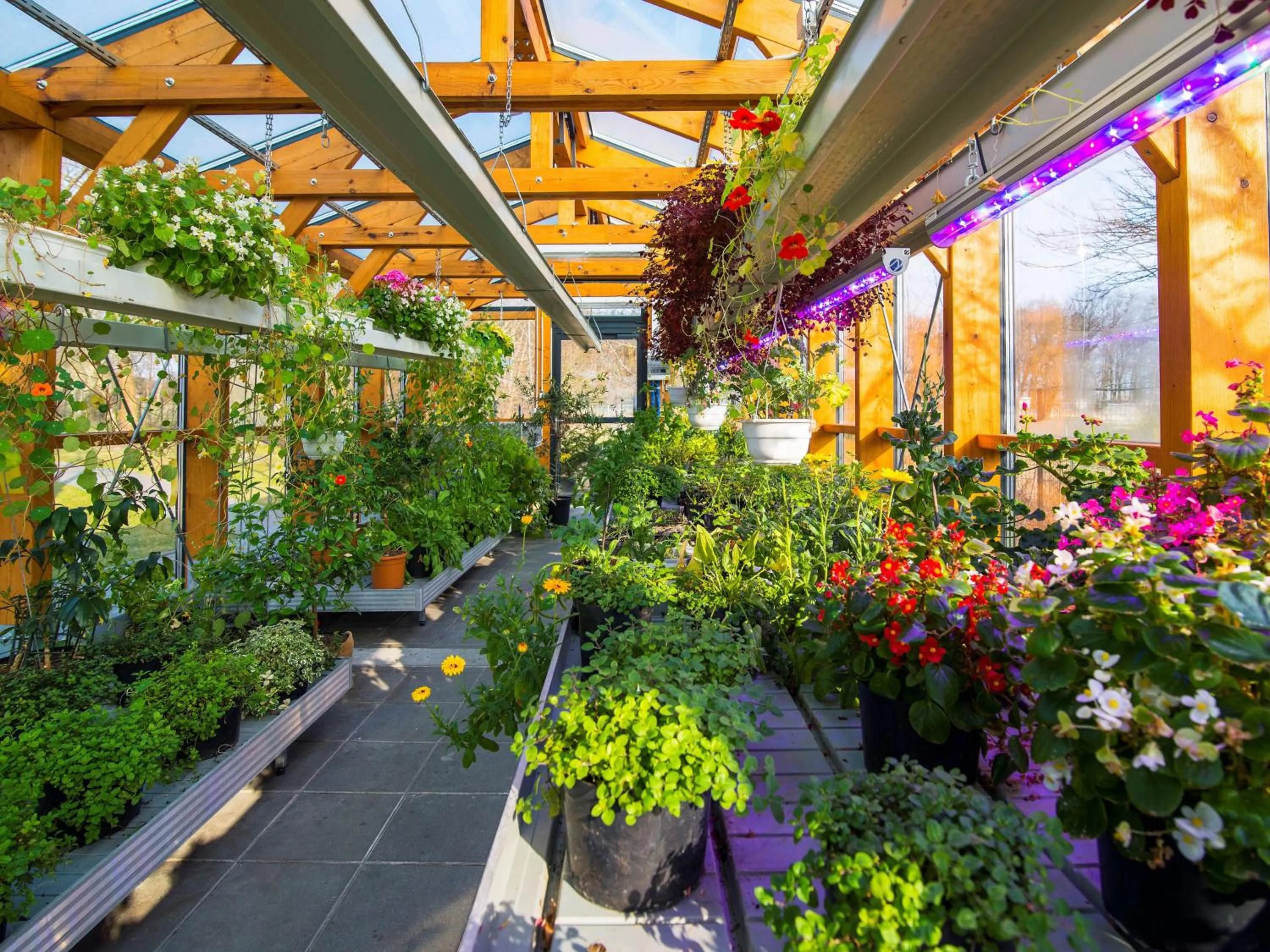 Garden in Rosevia Resort & Spa