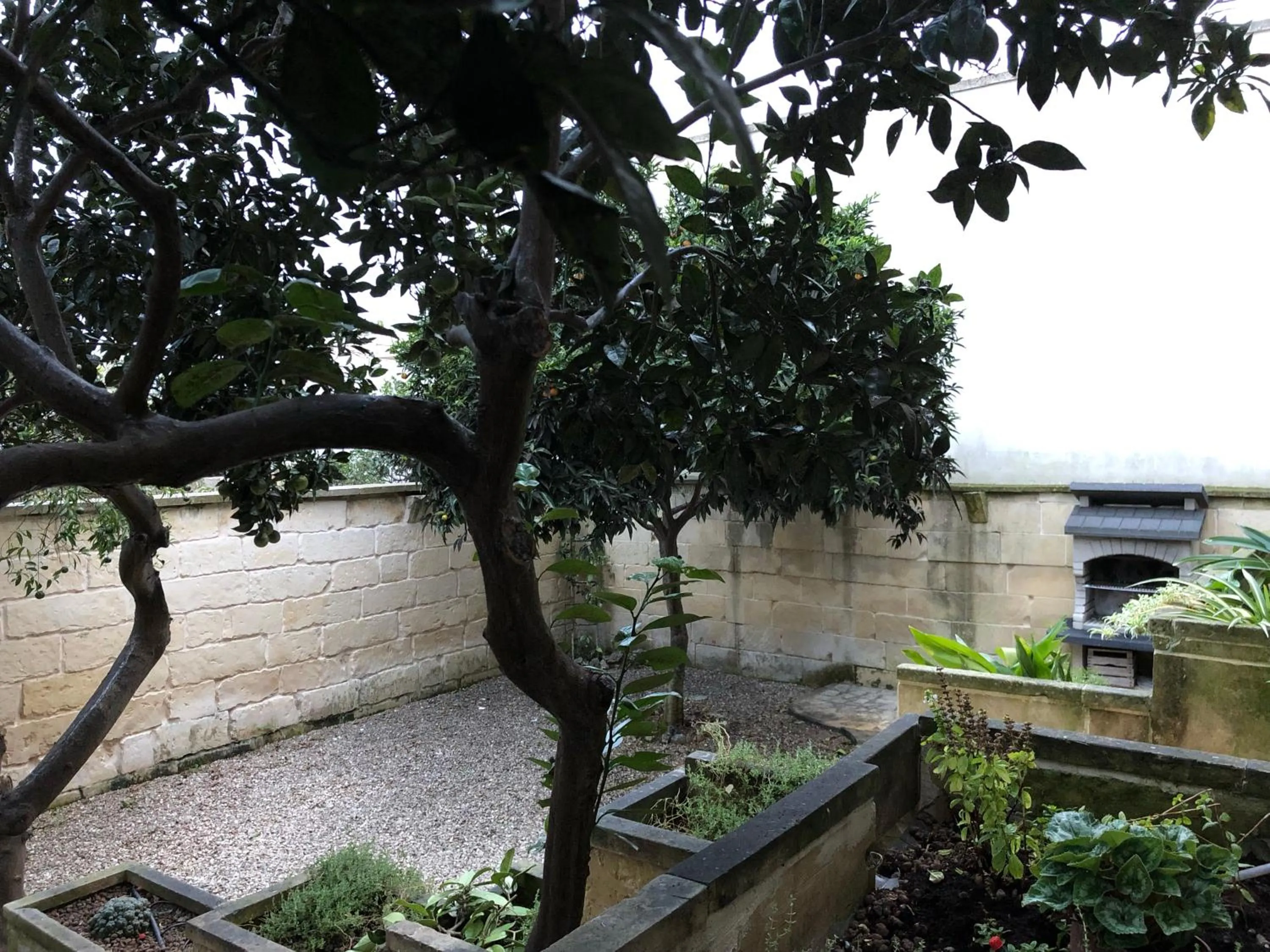 Breakfast in Monterussi Bed and Breakfast