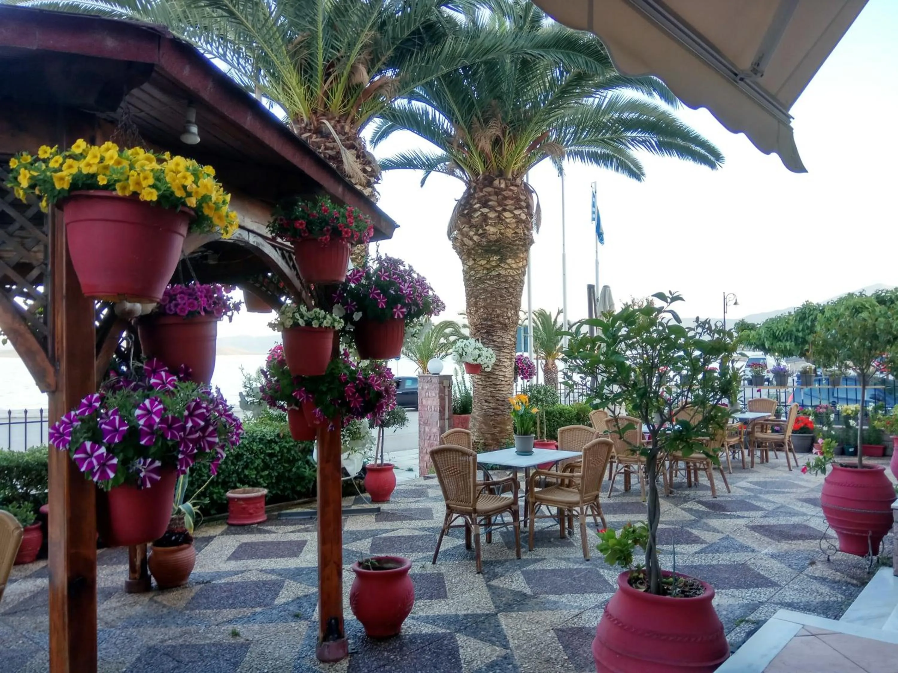 Garden in Hotel Akti