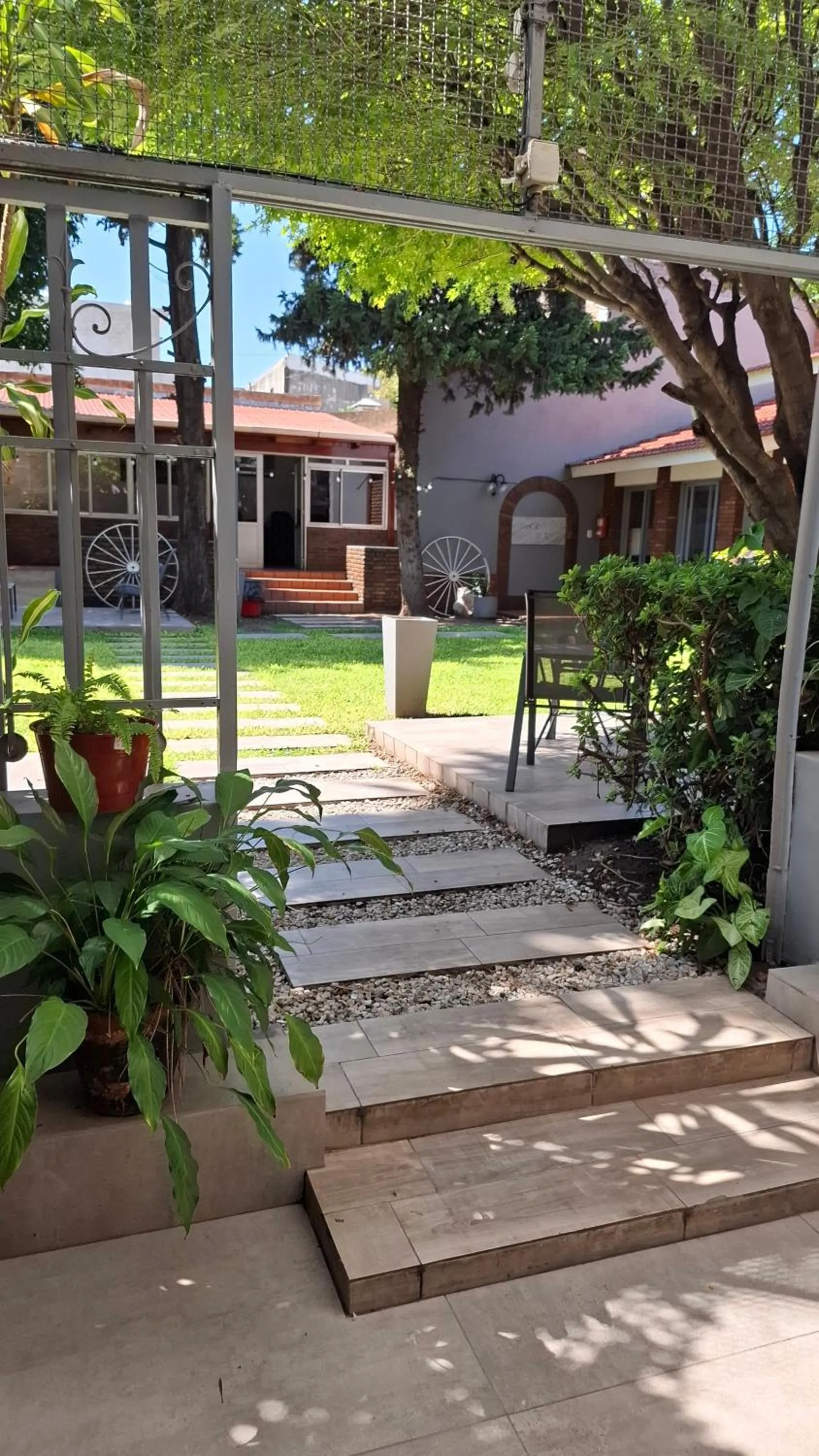 Garden in Hotel Mayoral