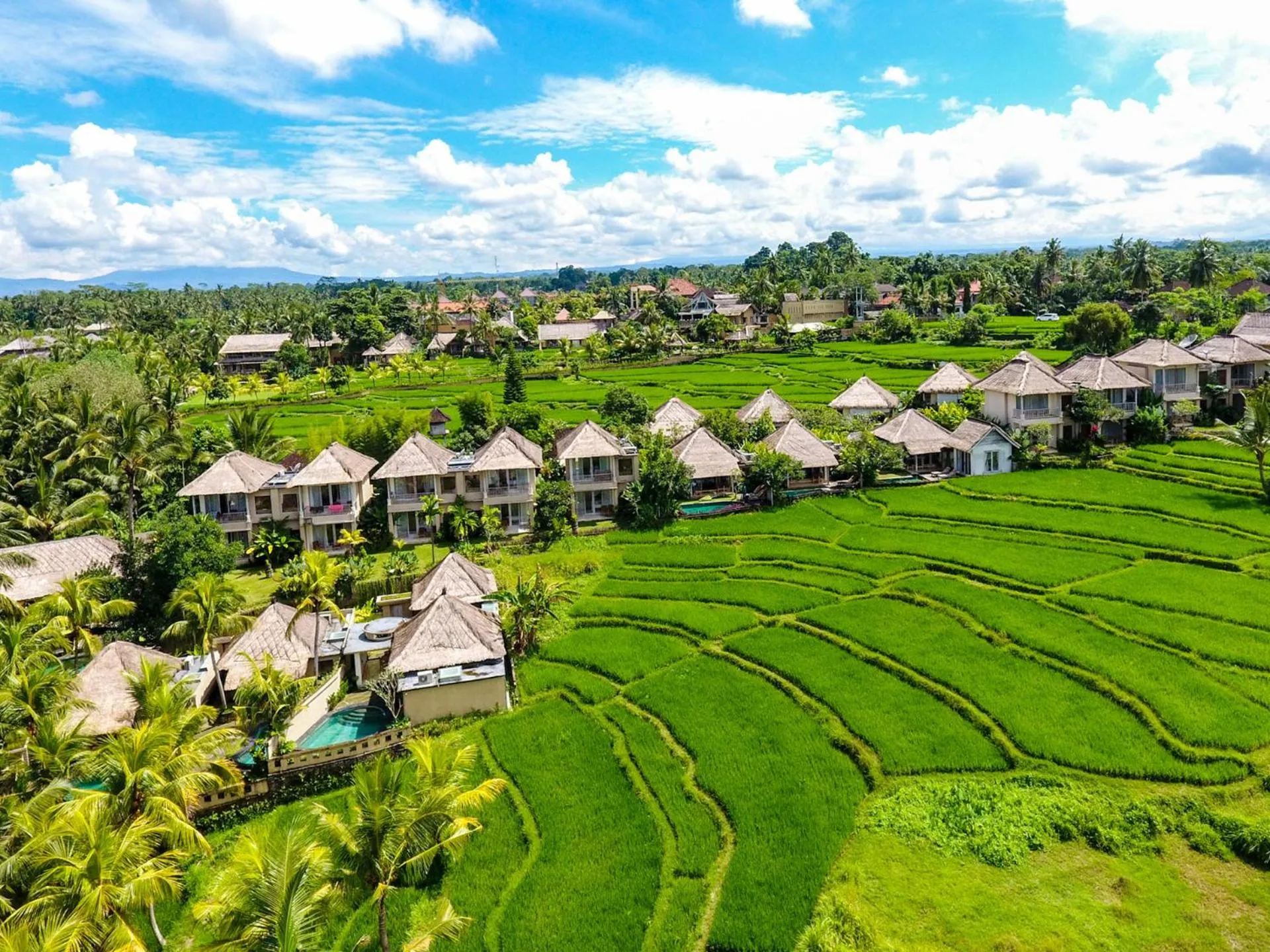 Property building in Mesari Hotel Ubud