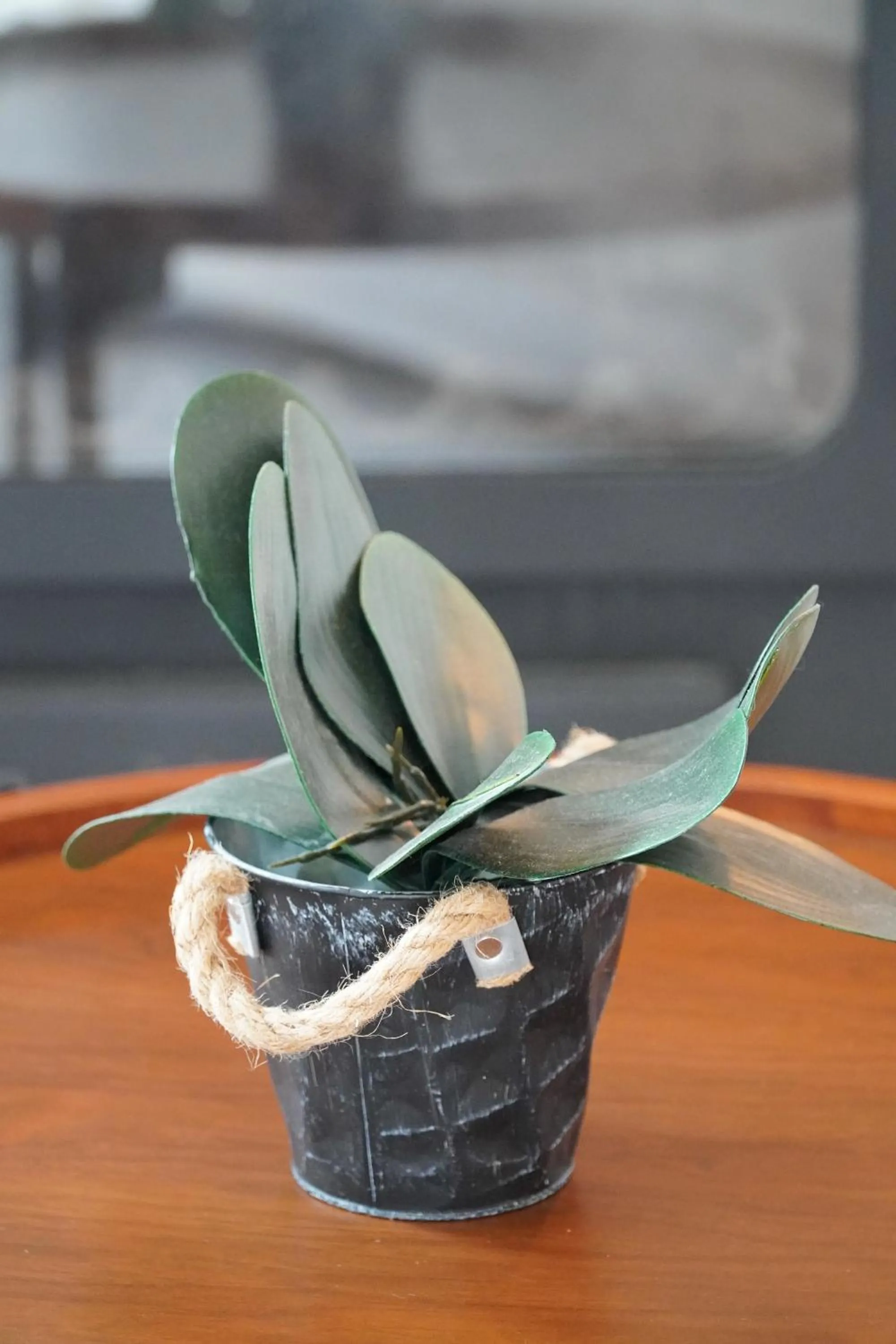 Property building in Camara Hotel