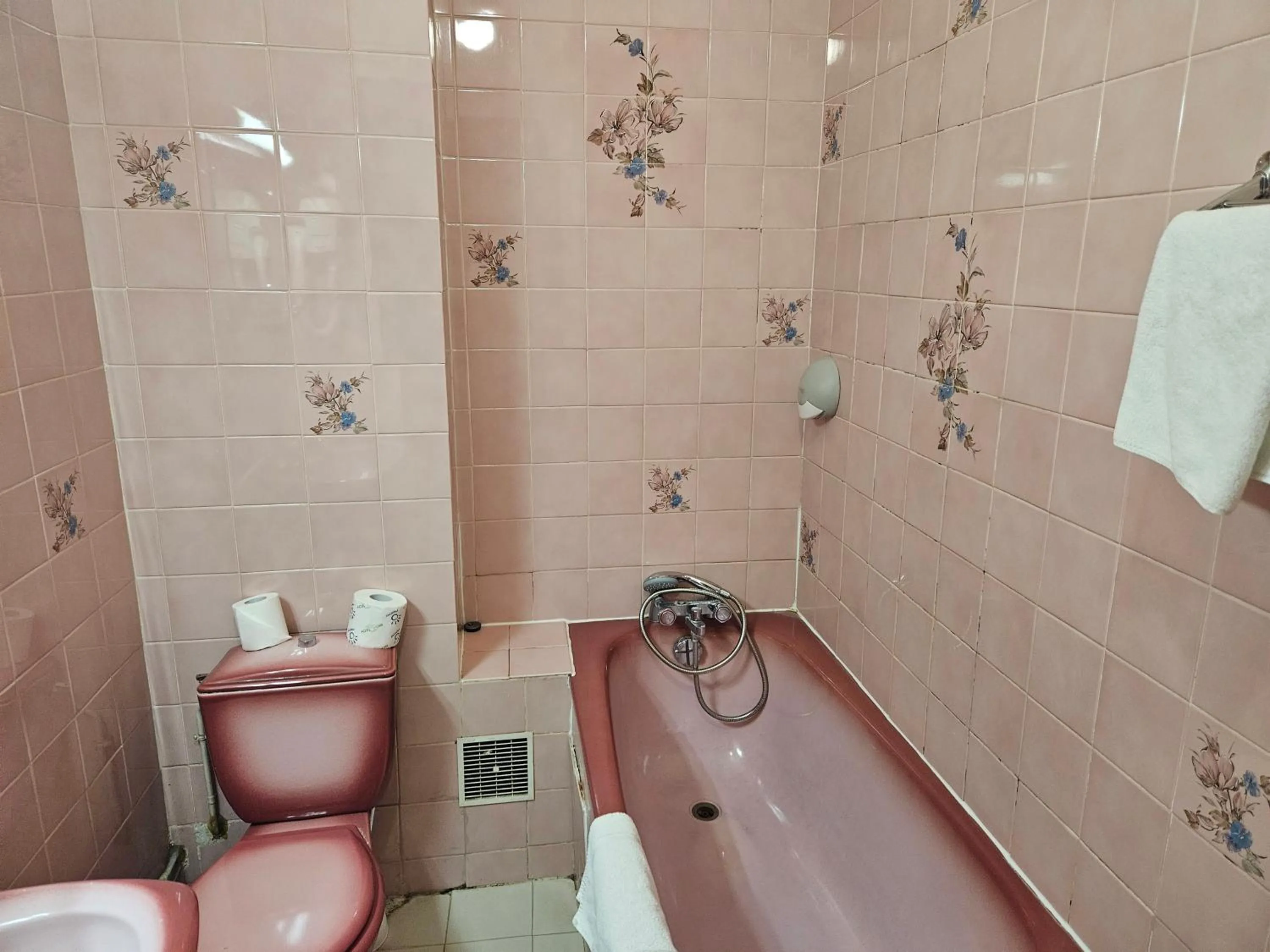 Toilet in Hôtel Bellevue et du Chariot d'Or