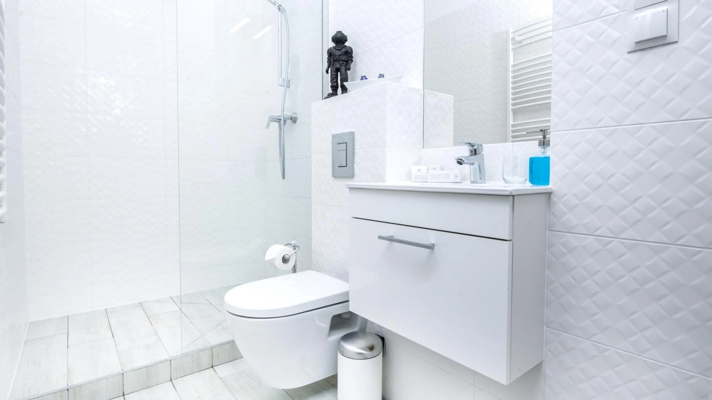 Shower in Black Swan House, Old Town