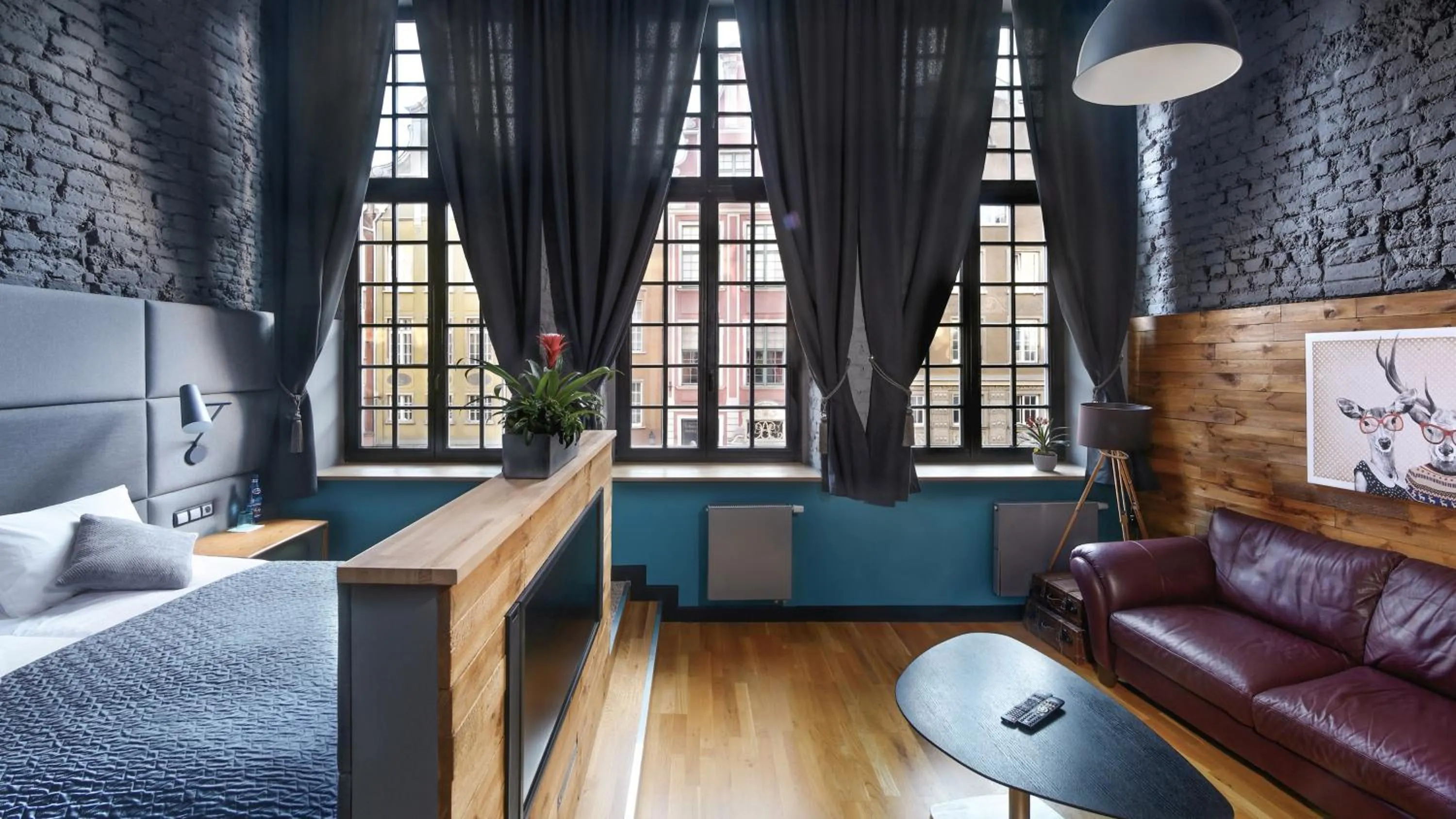 TV and multimedia in Black Swan House, Old Town