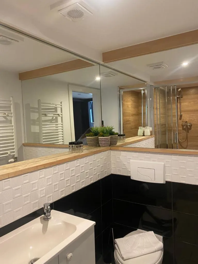 Bathroom in Black Swan House, Old Town