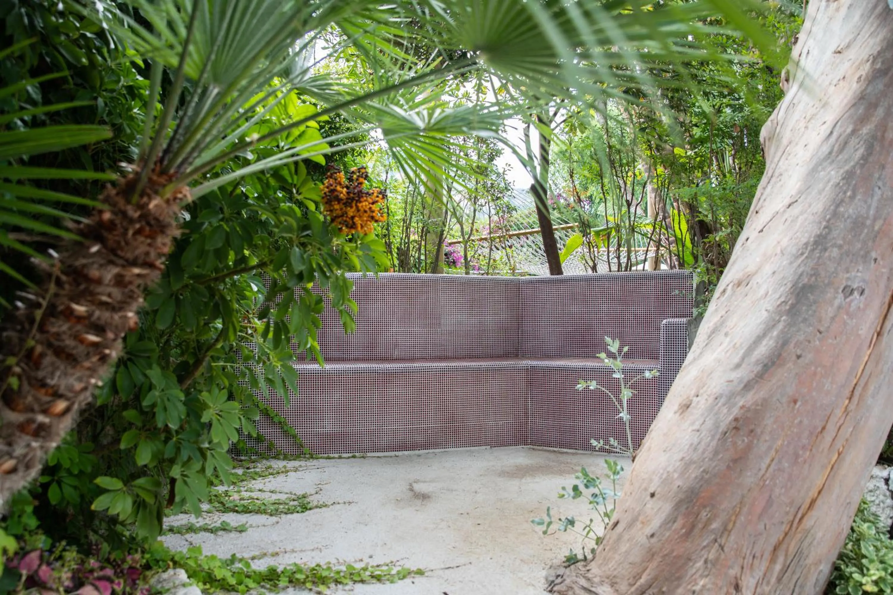 Garden in Hotel San Francesco