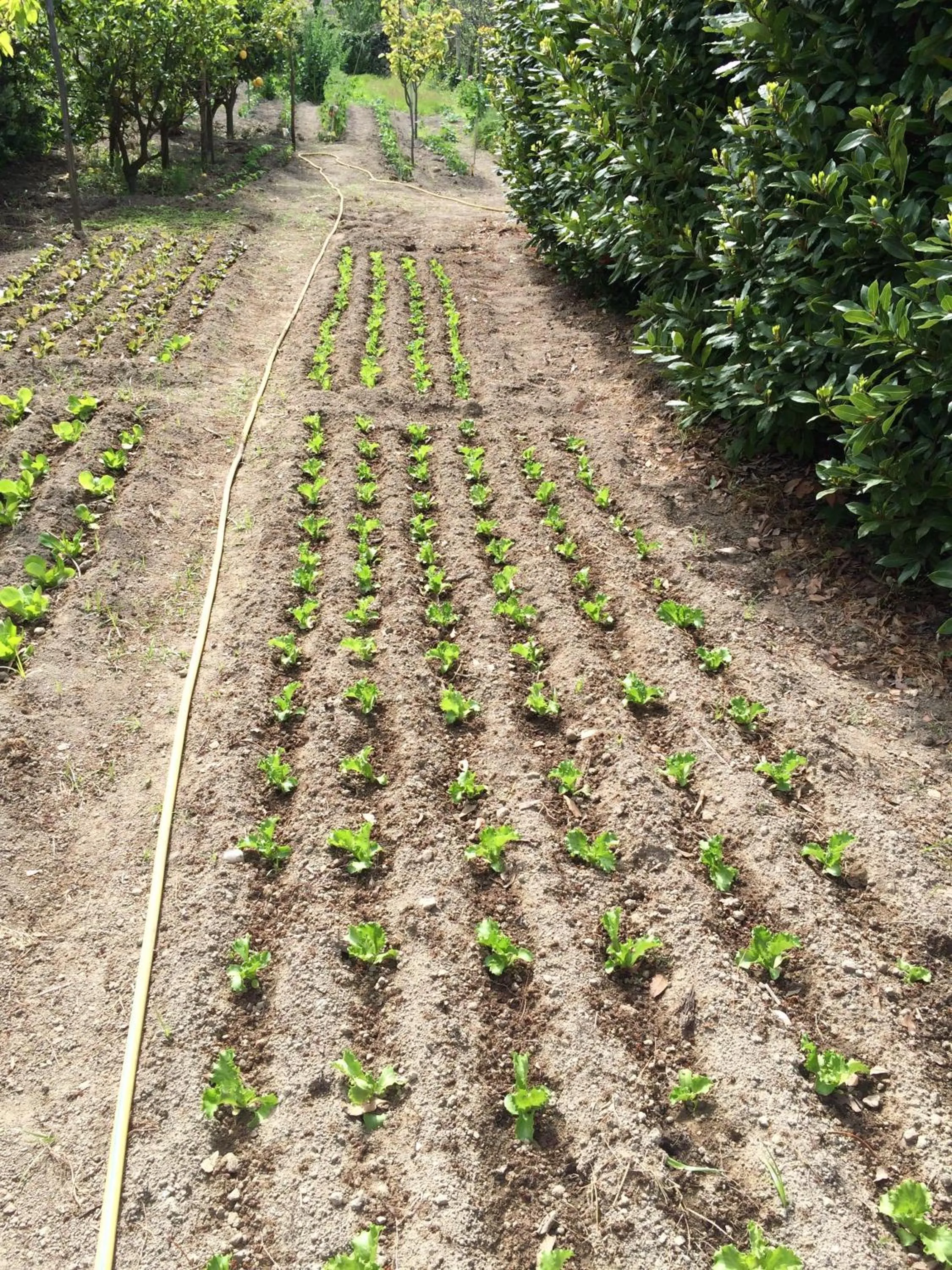 Other in Hotel San Francesco